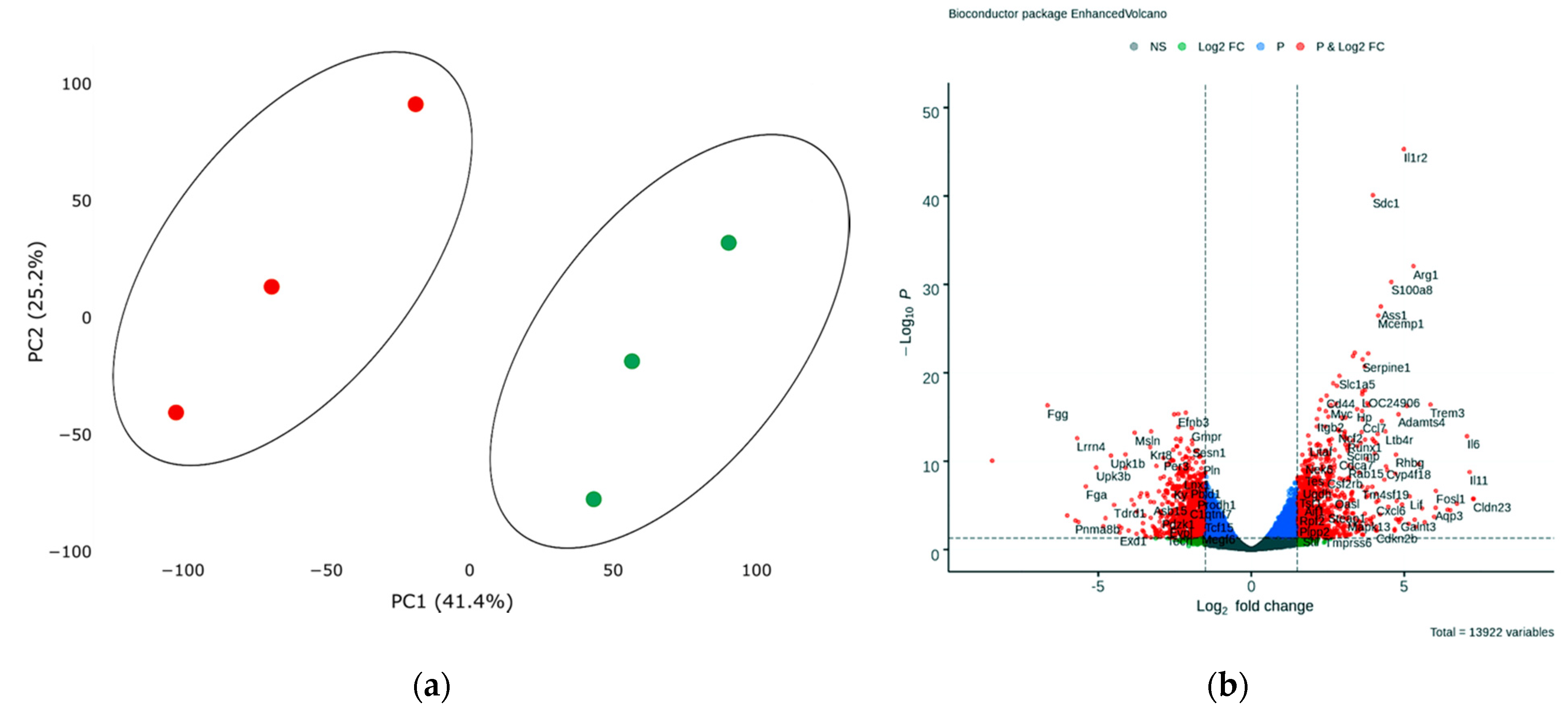 Biomedicines 10 01283 g001