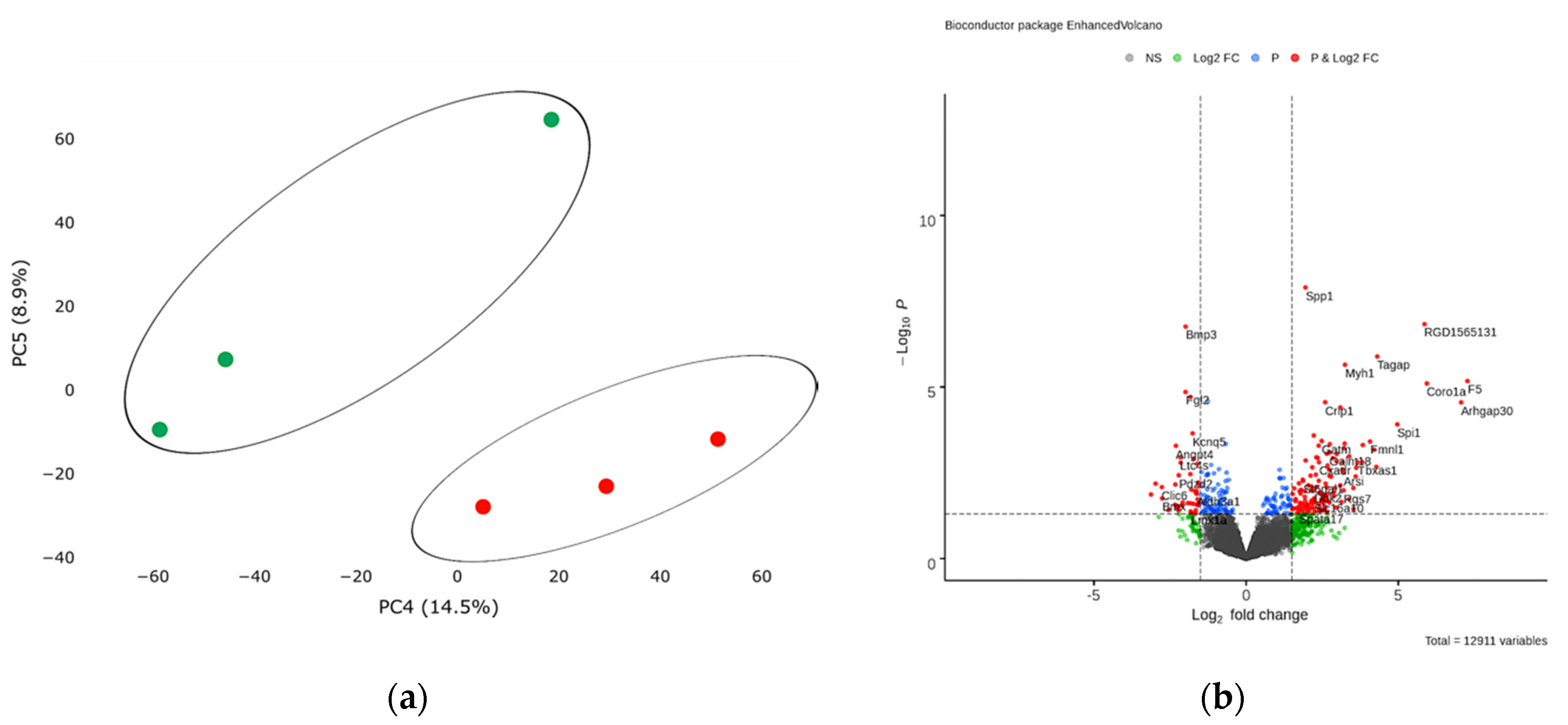 Biomedicines 10 01283 g005