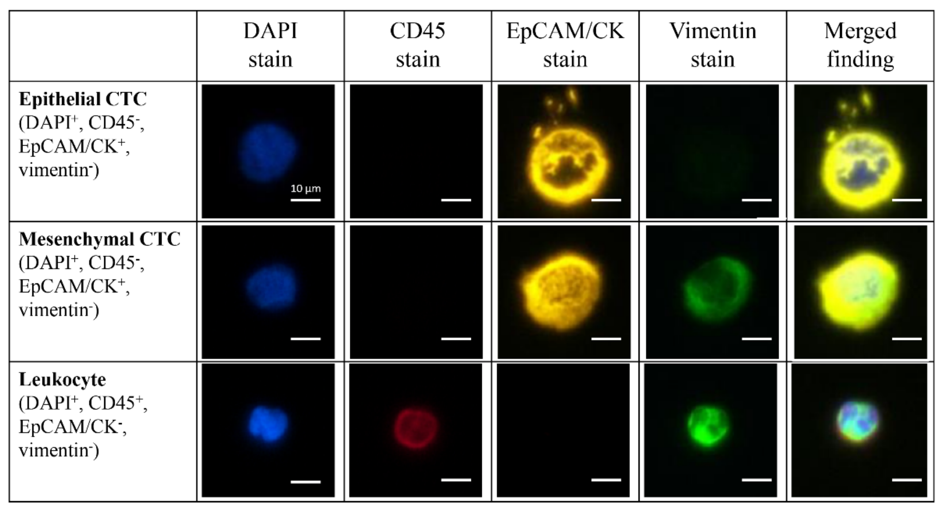 Biomedicines 10 01289 g002