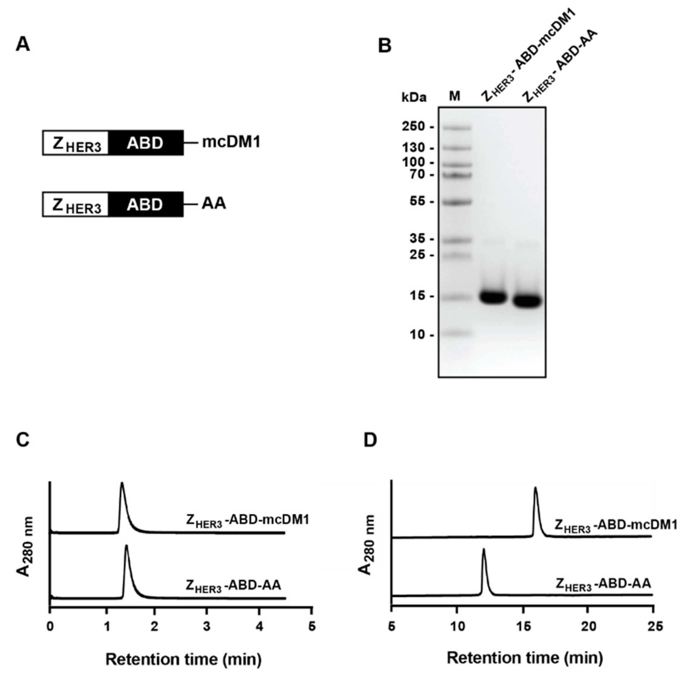Biomedicines 10 01293 g001