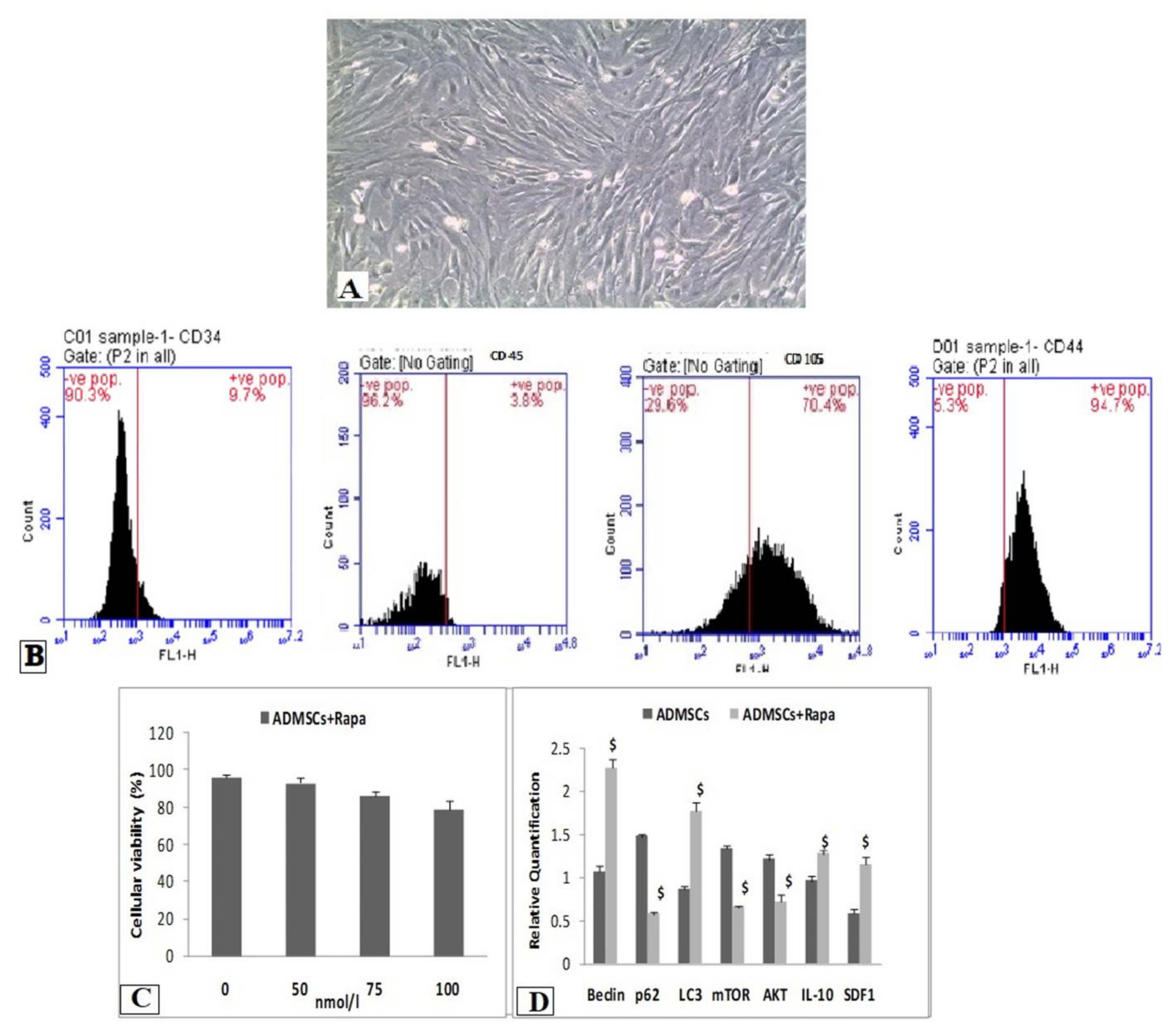 Biomedicines 10 01295 g001