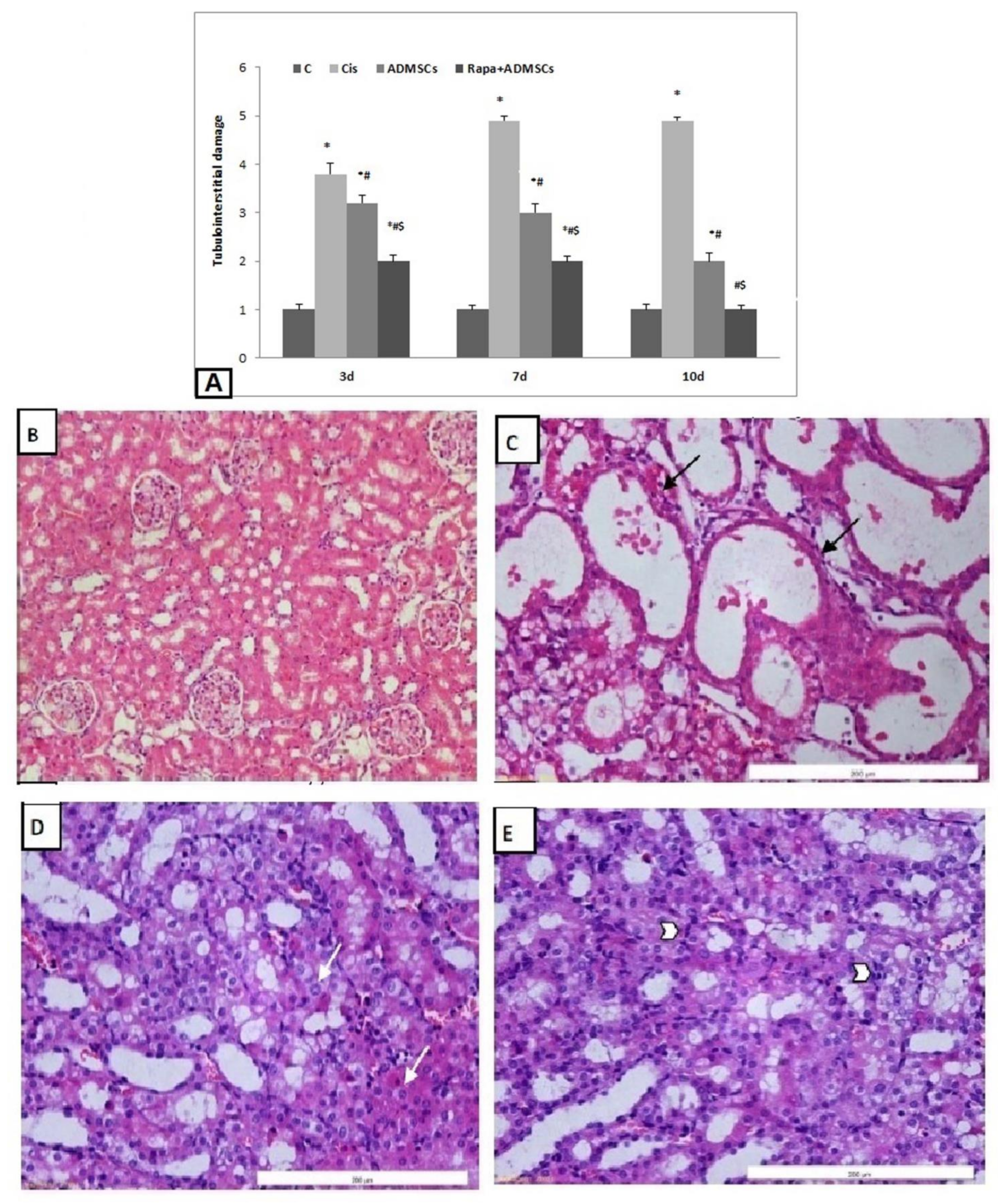 Biomedicines 10 01295 g005