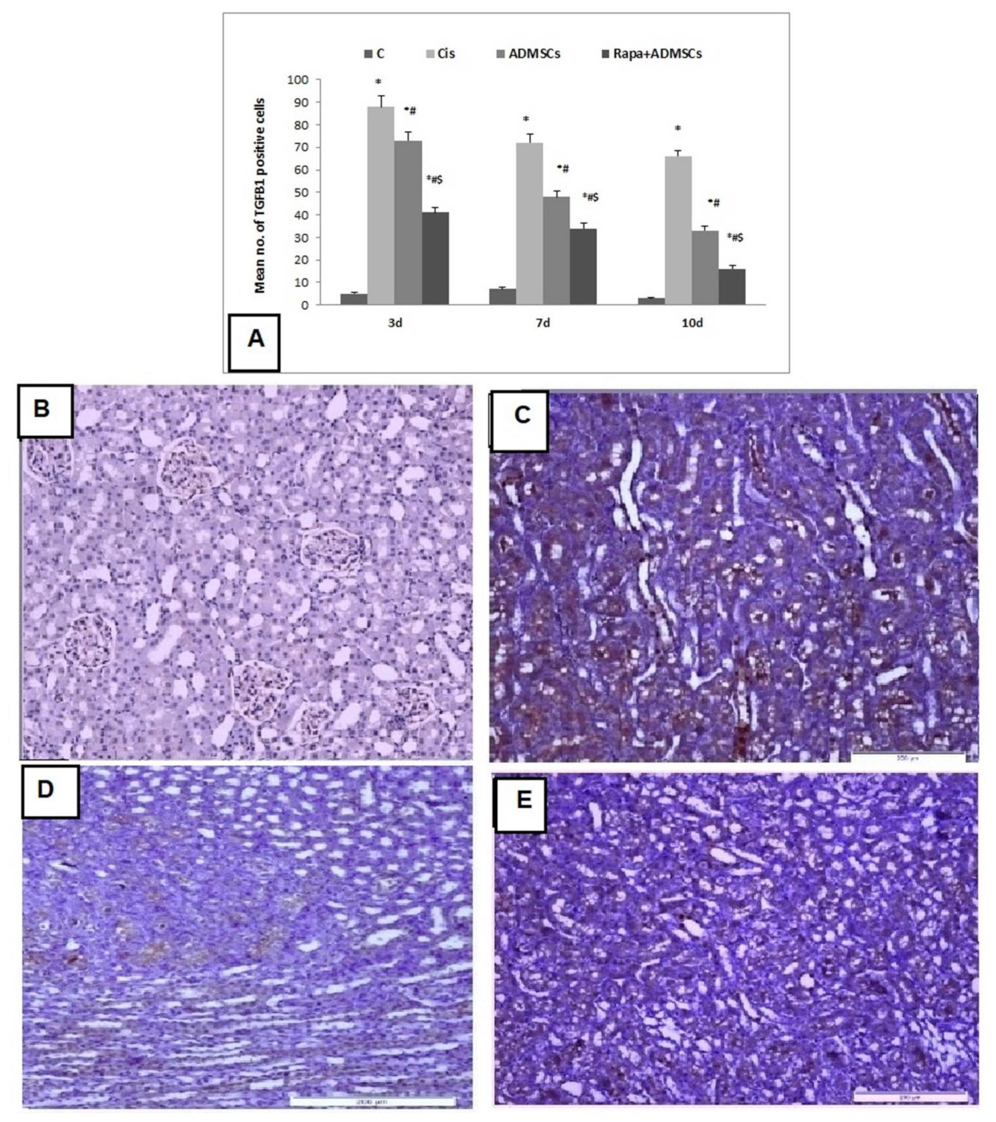 Biomedicines 10 01295 g006