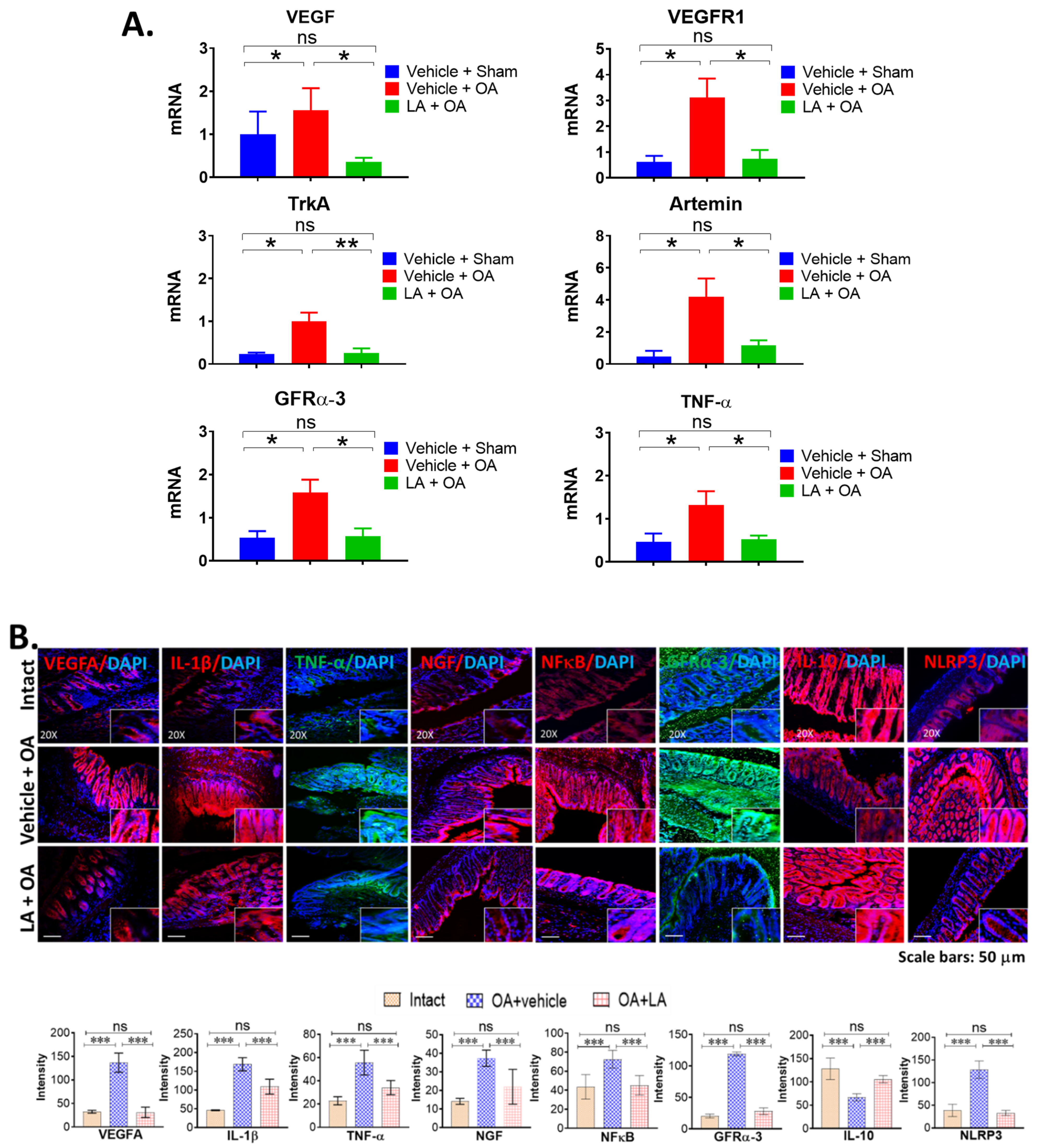 Biomedicines 10 01298 g003 550