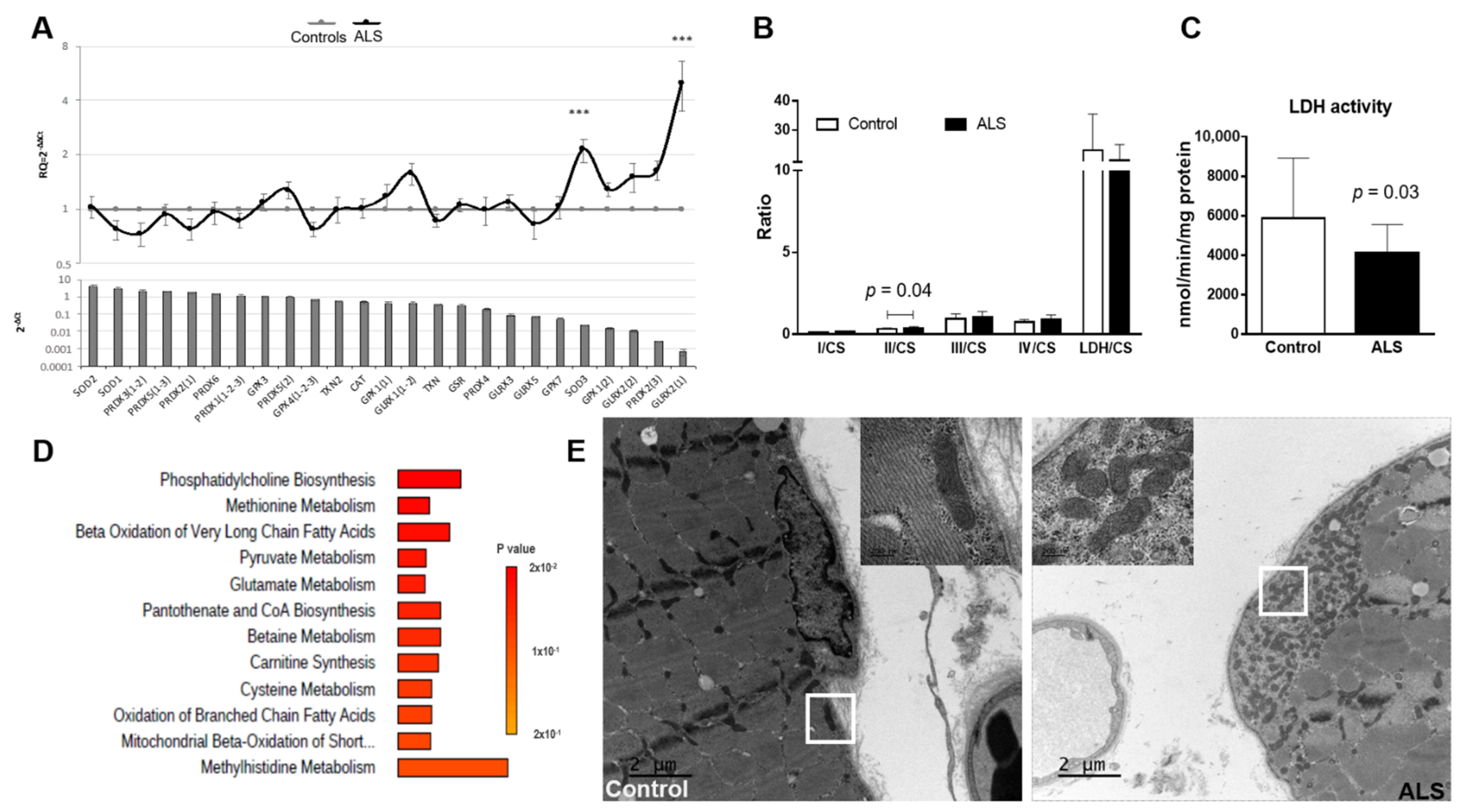 Biomedicines 10 01307 g003 Biomedicines 10 01307 g003
