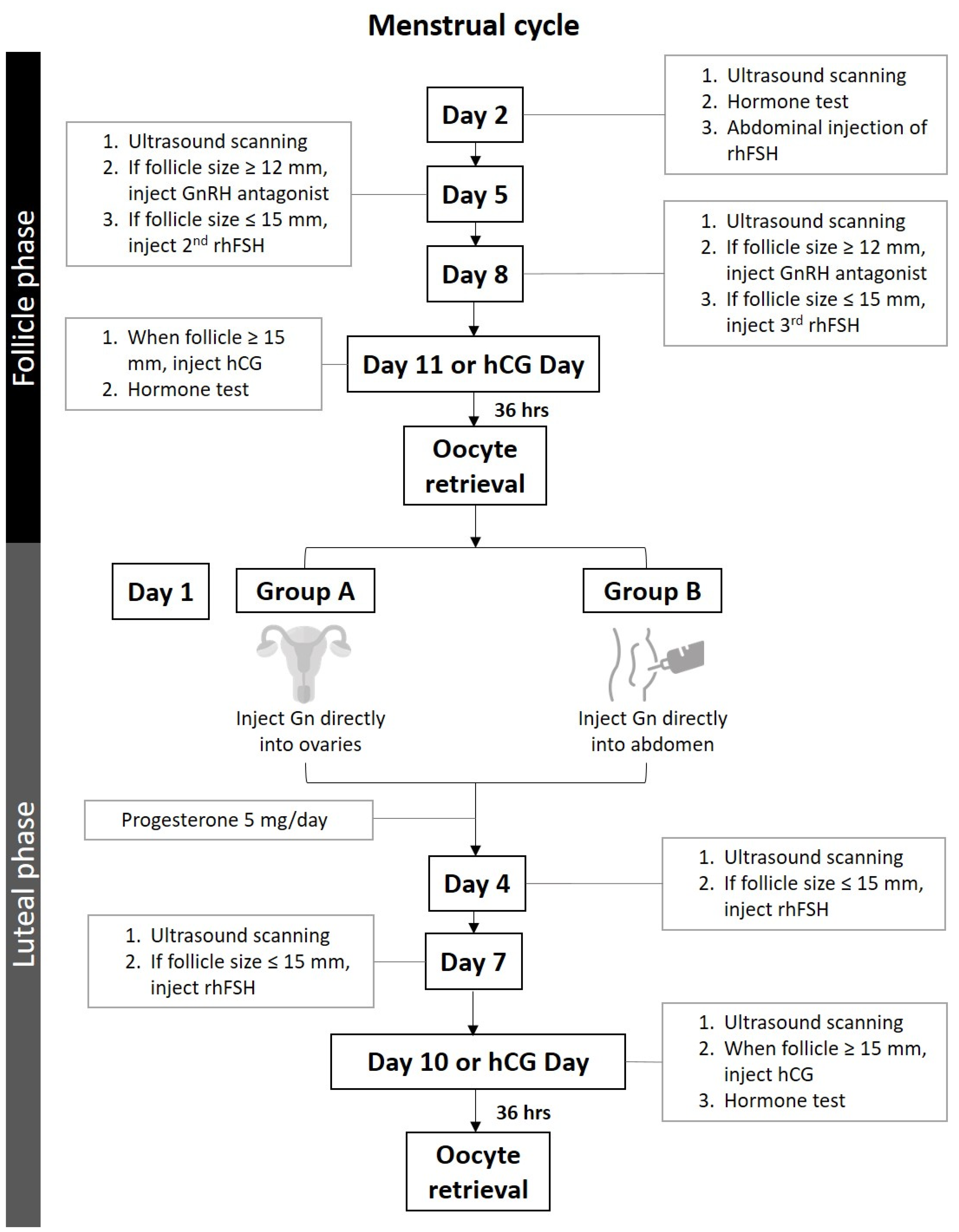 Biomedicines 10 01312 g002 Biomedicines 10 01312 g002