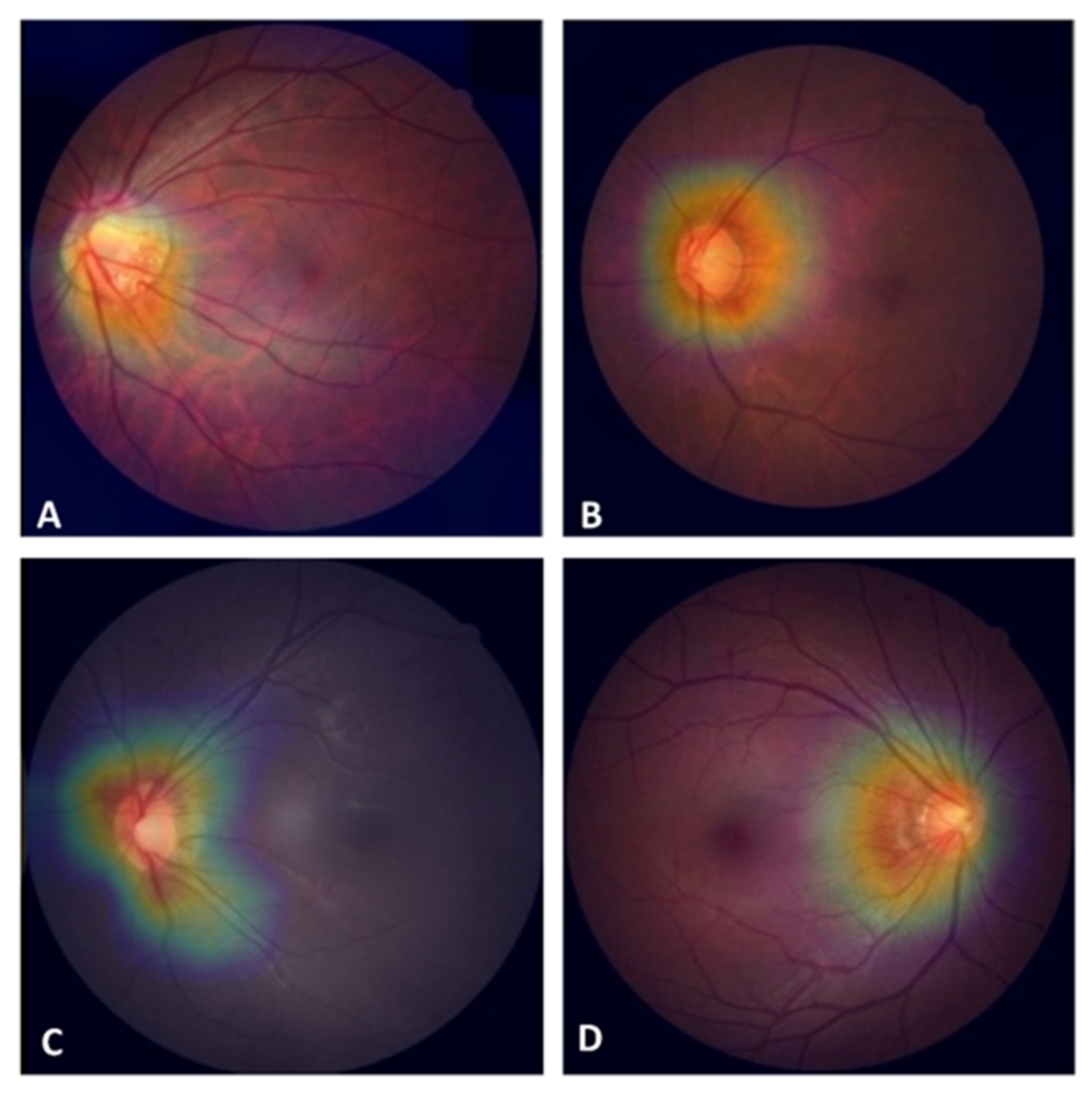 Biomedicines 10 01314 g004