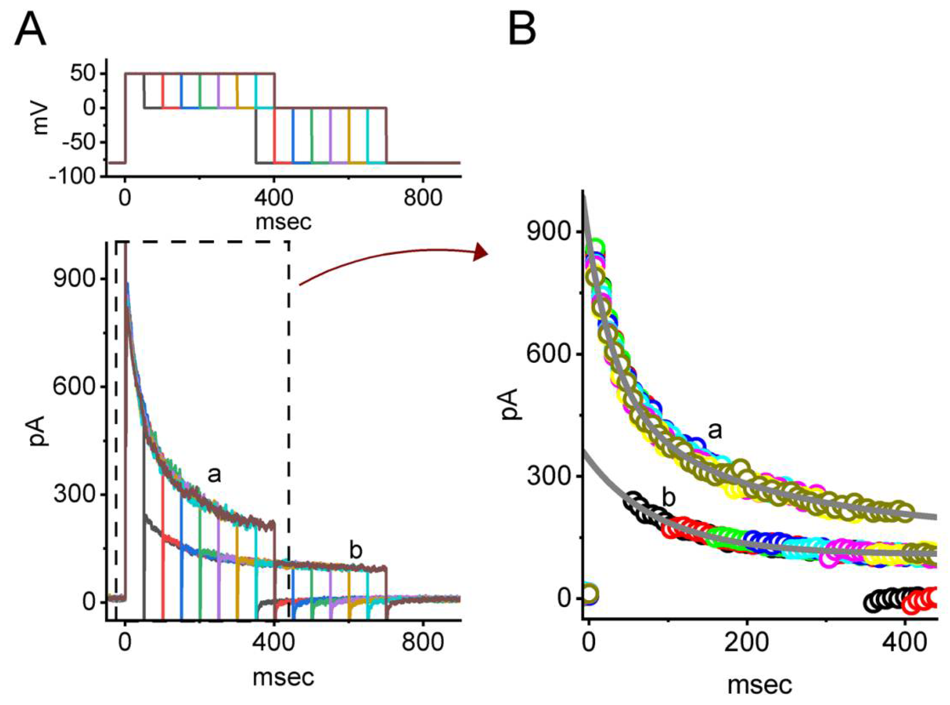 Biomedicines 10 01318 g005