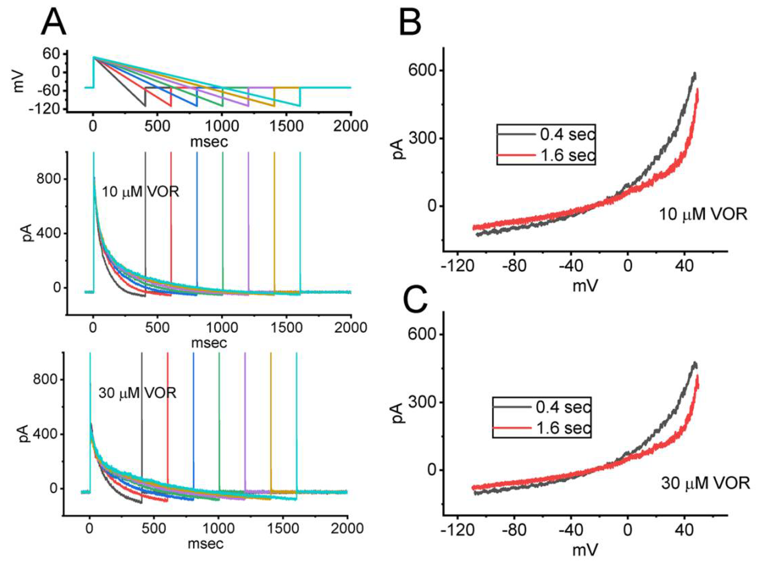 Biomedicines 10 01318 g007