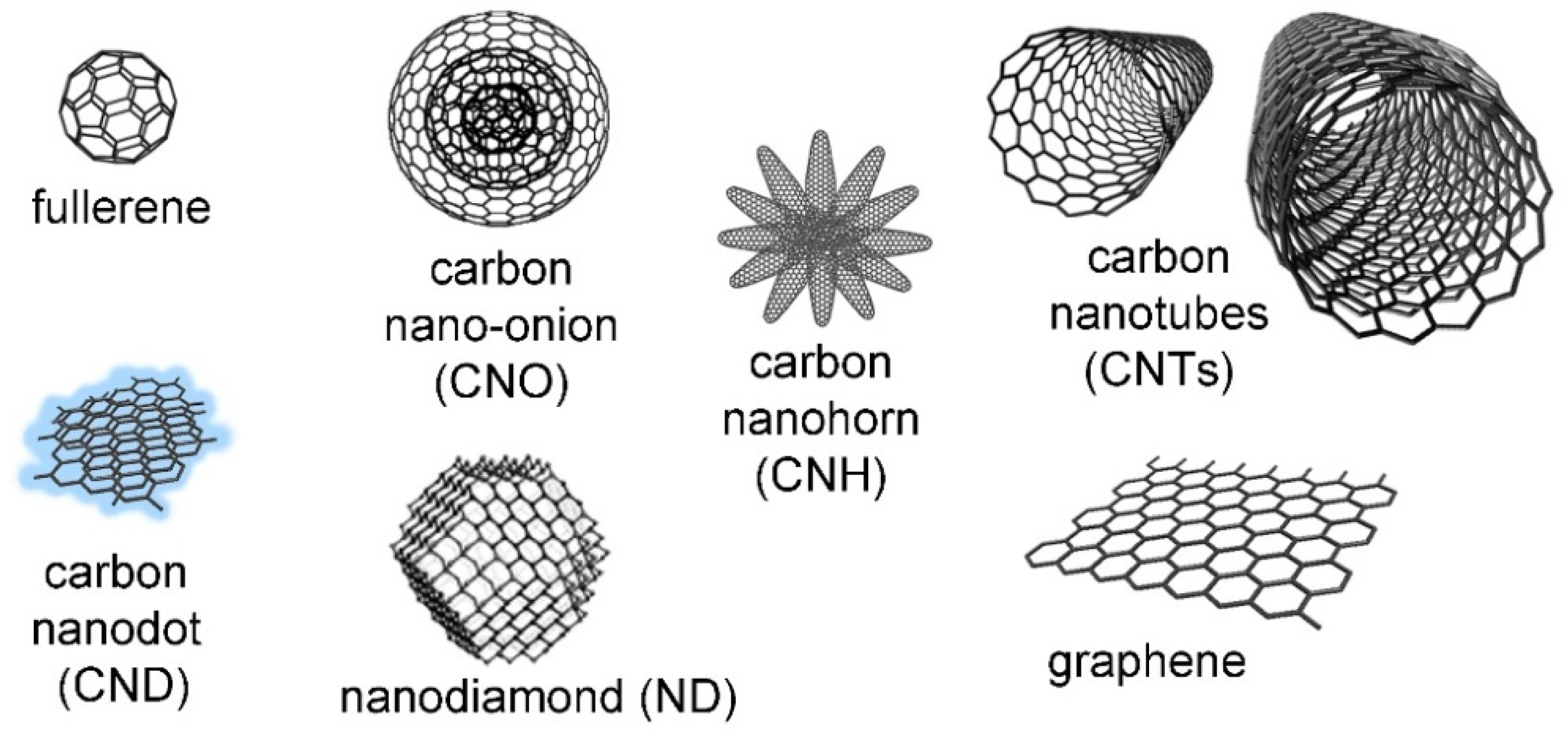 Biomedicines 10 01320 g002