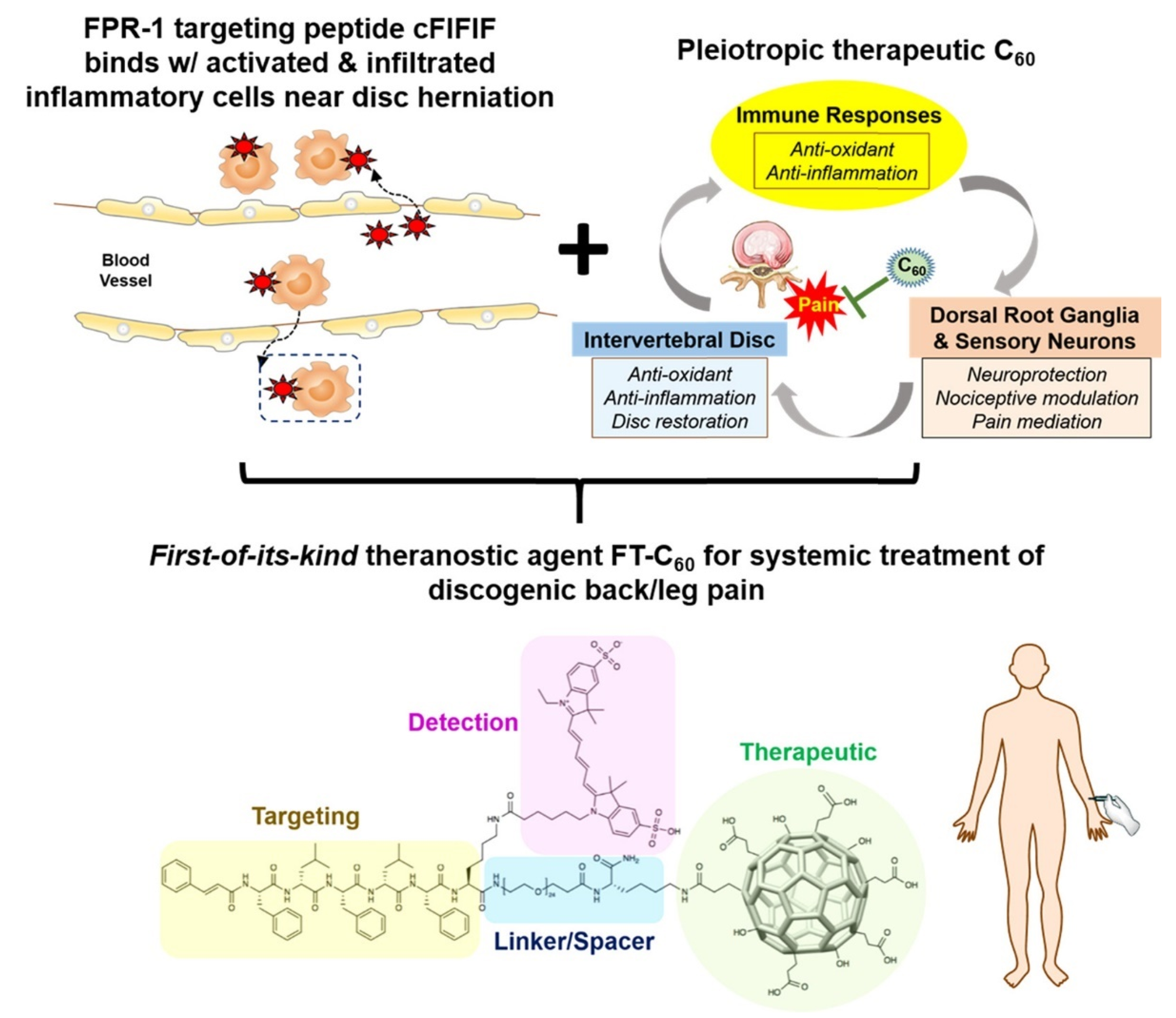 Biomedicines 10 01320 g003