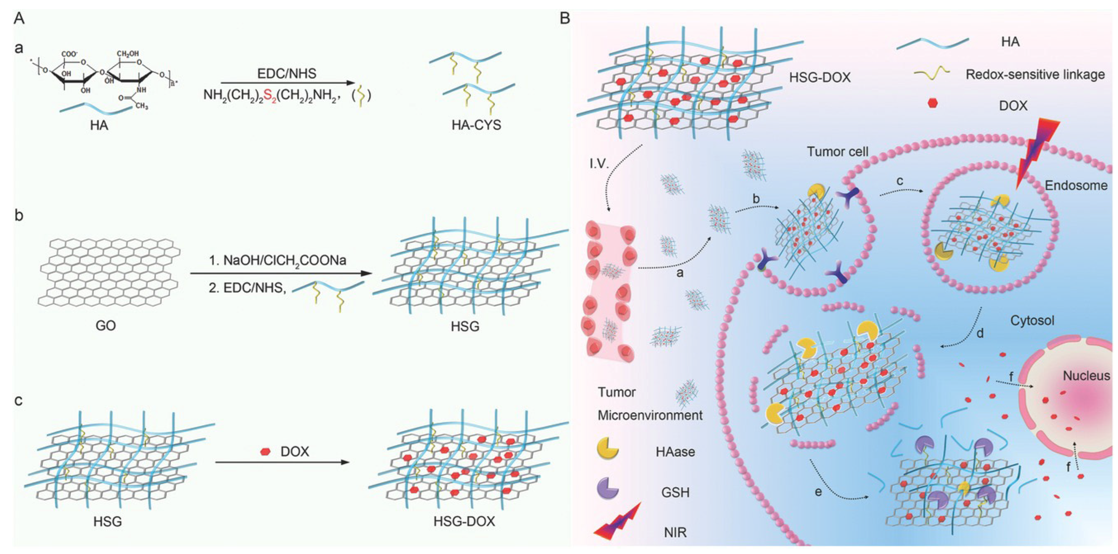 Biomedicines 10 01320 g007