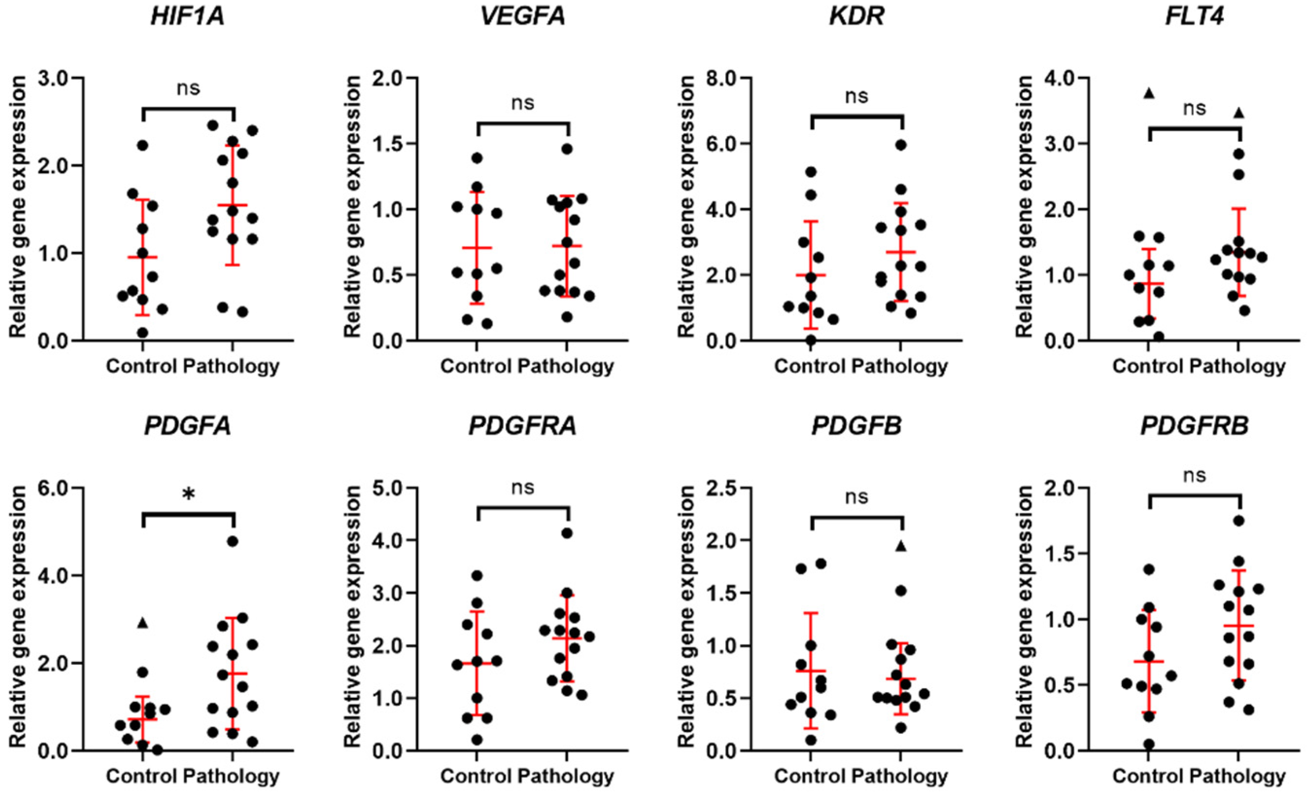 Biomedicines 10 01324 g002