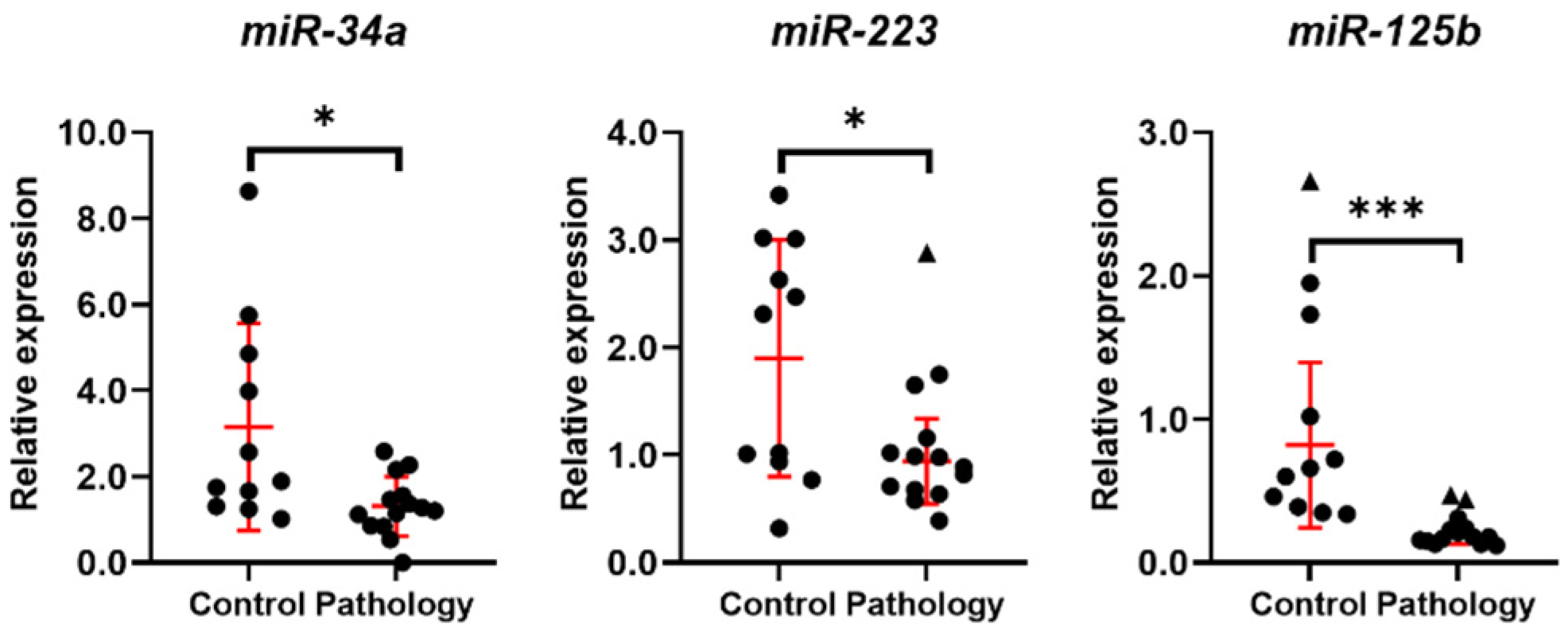 Biomedicines 10 01324 g004