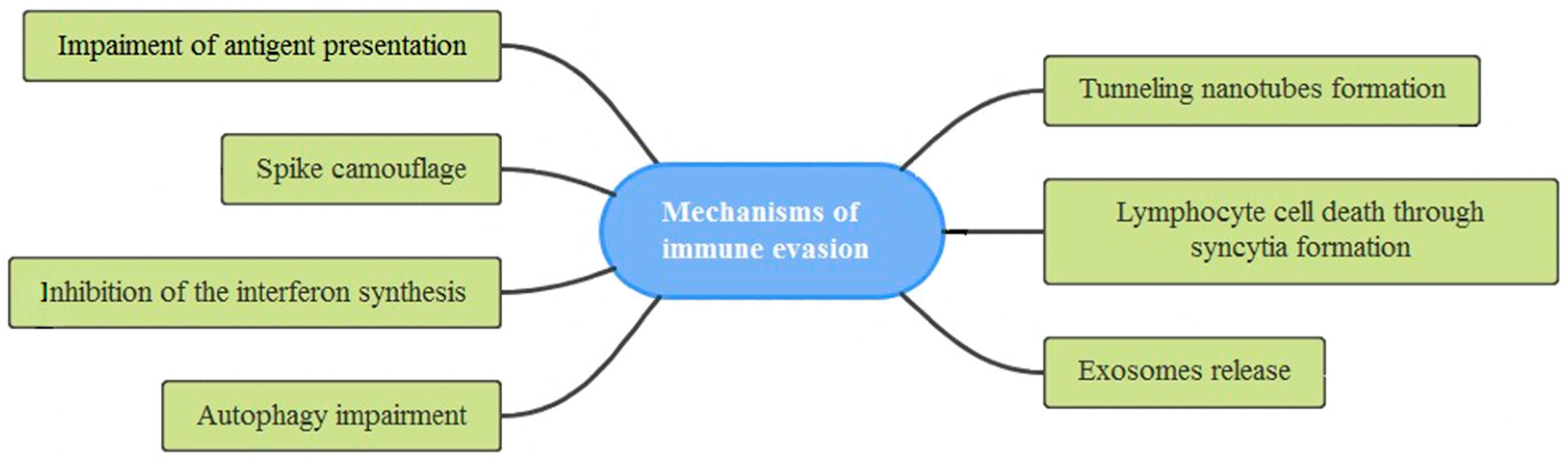 Biomedicines 10 01339 g004 550