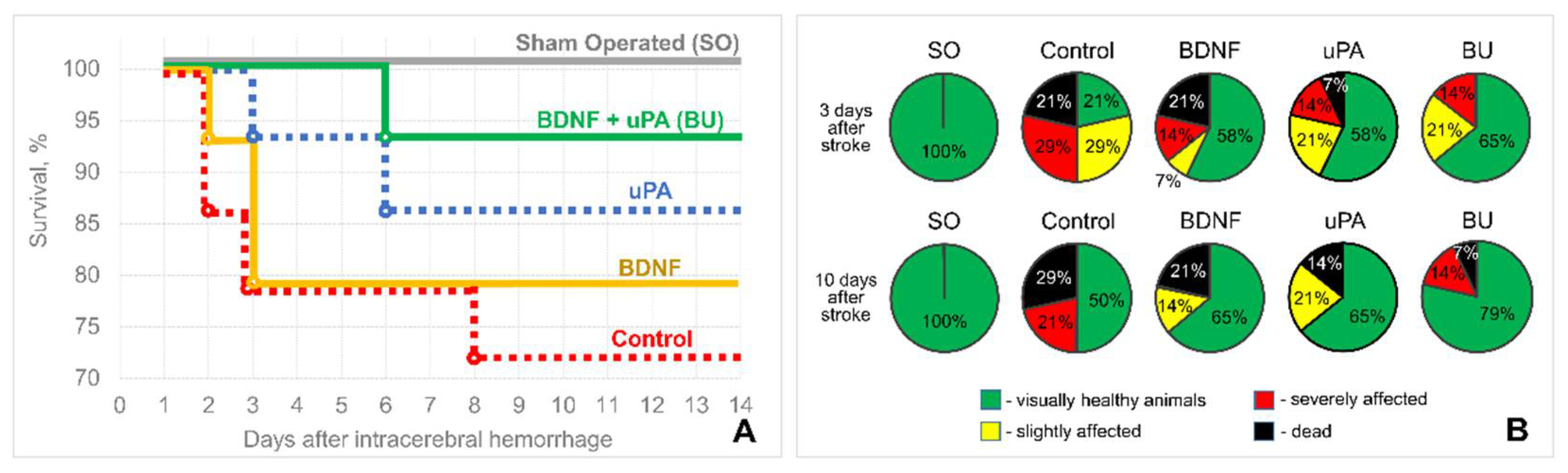 Biomedicines 10 01346 g001 Biomedicines 10 01346 g001