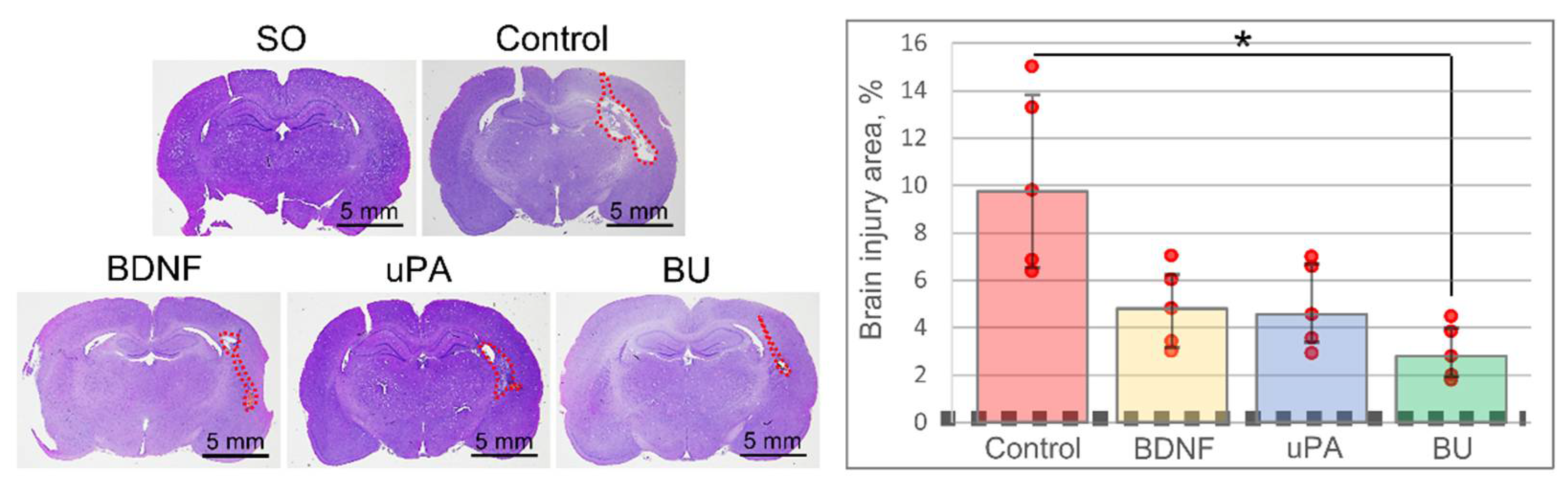 Biomedicines 10 01346 g003 Biomedicines 10 01346 g003