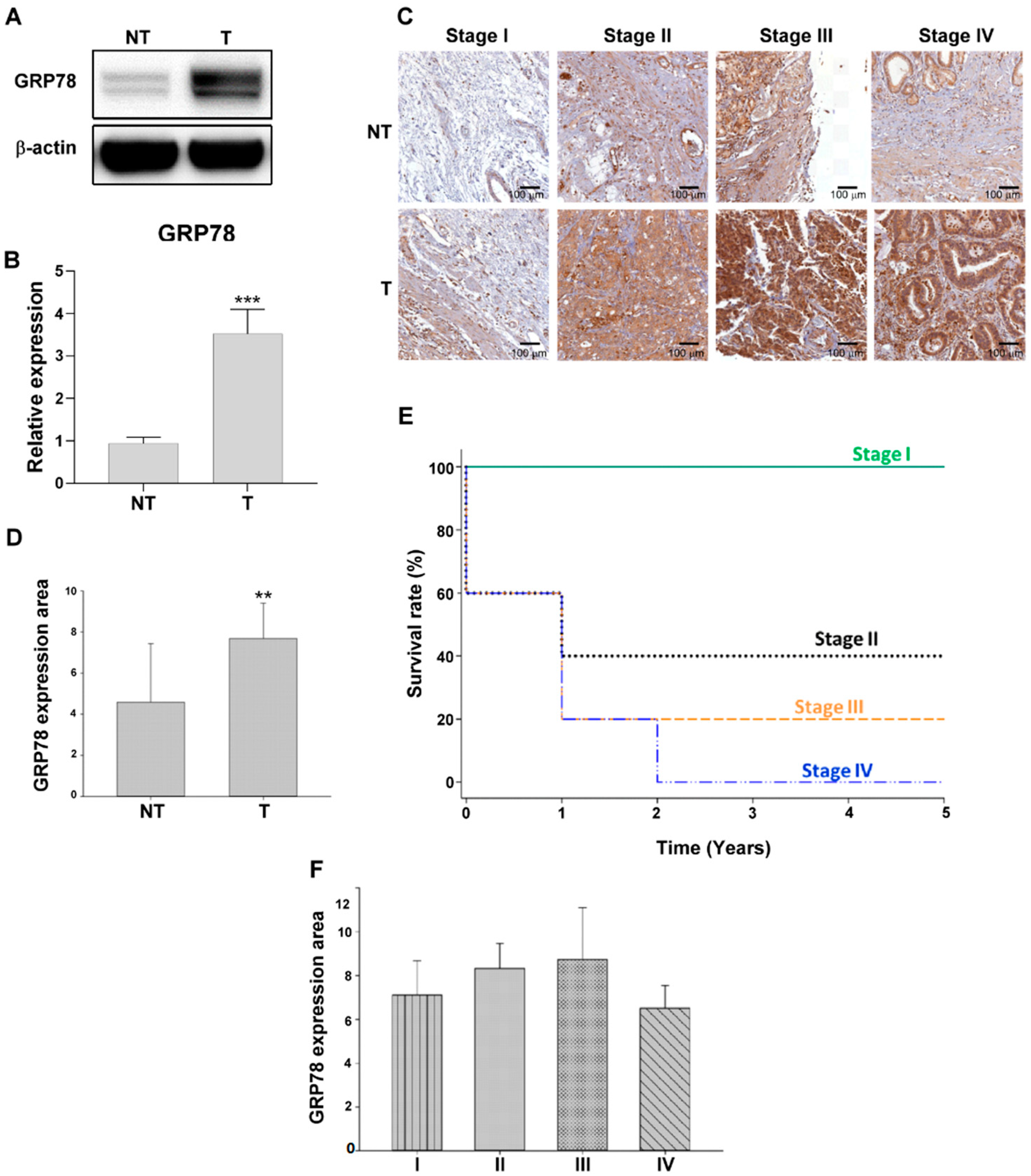 Biomedicines 10 01350 g001