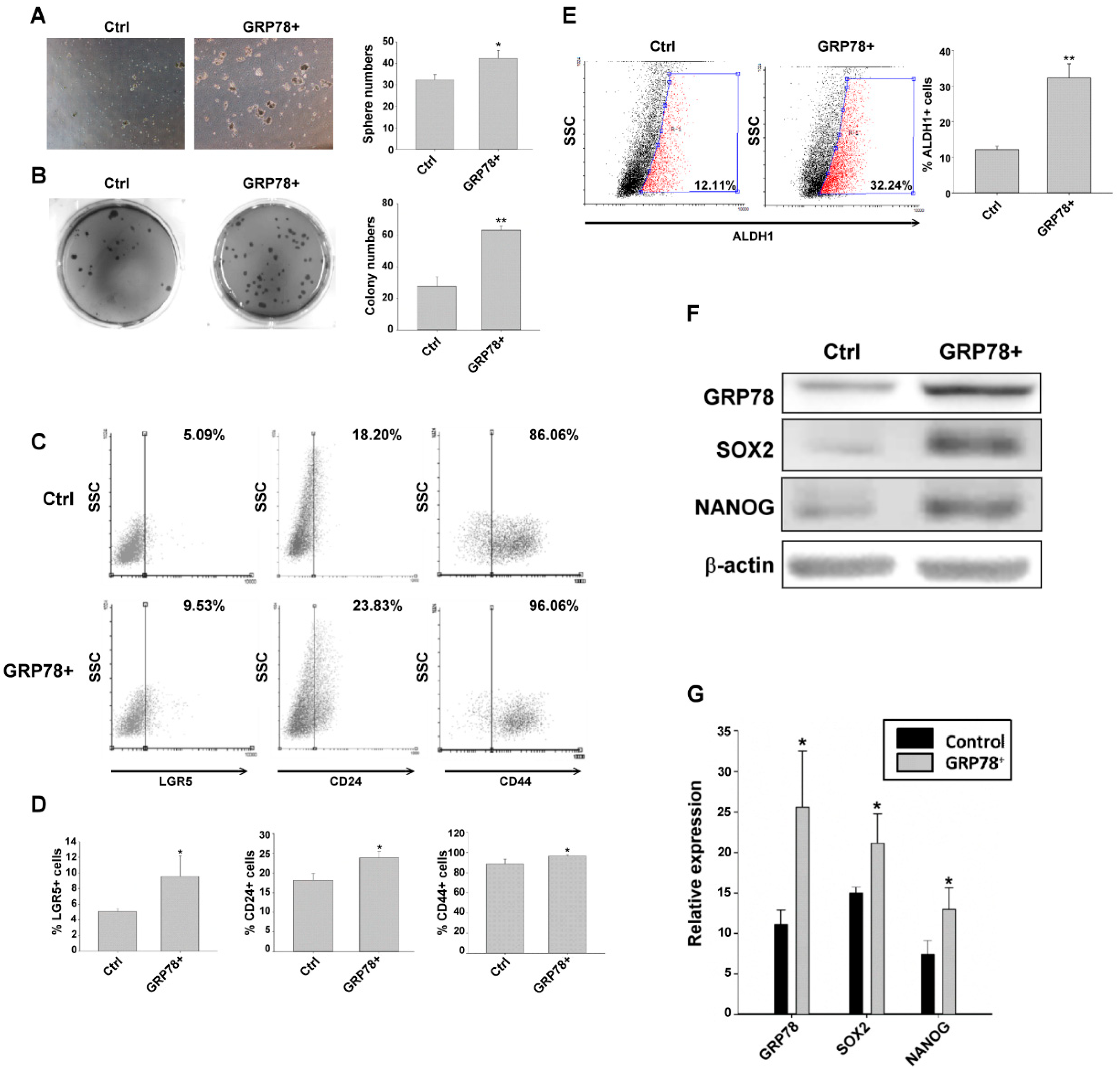 Biomedicines 10 01350 g003