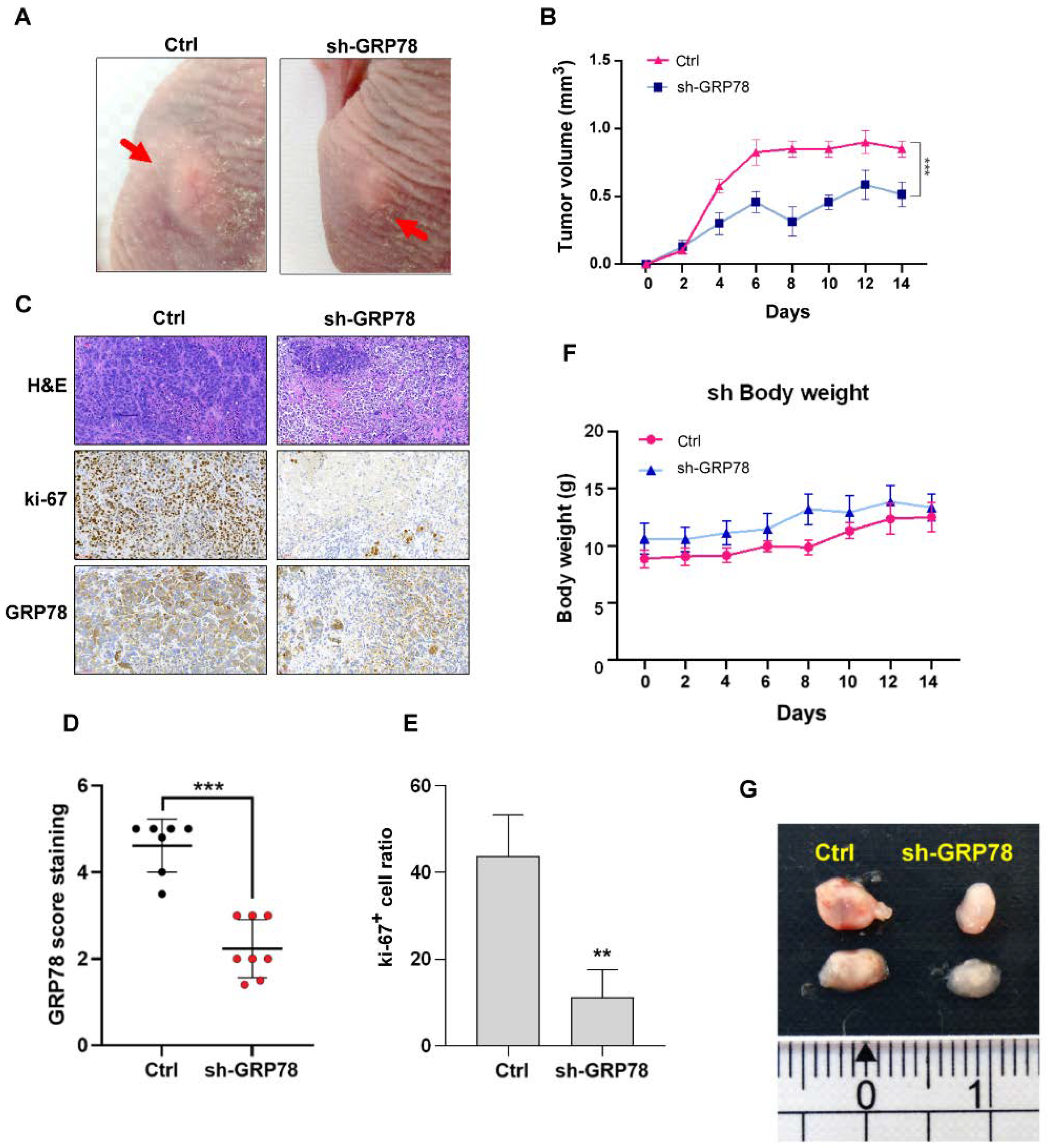 Biomedicines 10 01350 g006