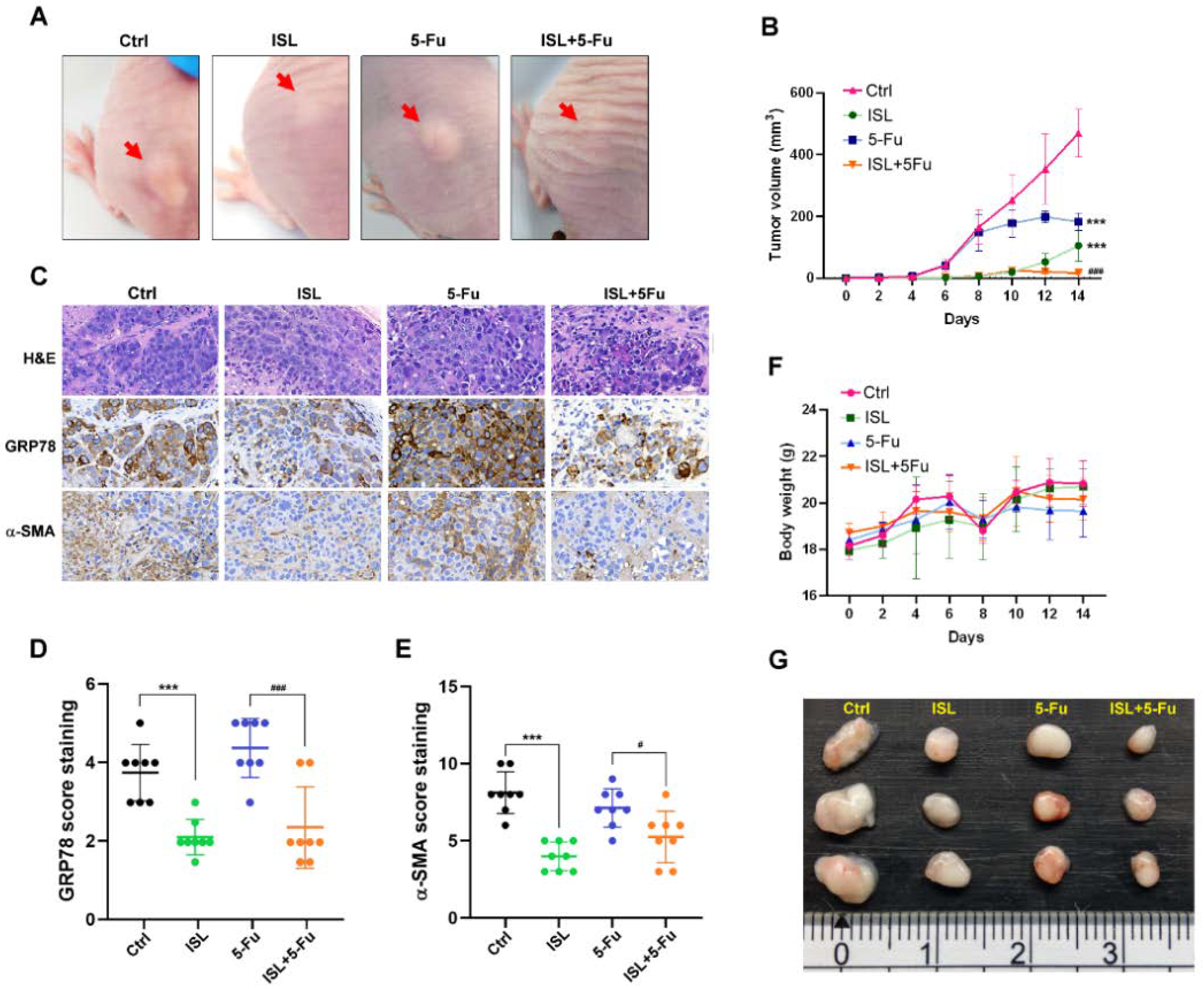 Biomedicines 10 01350 g009