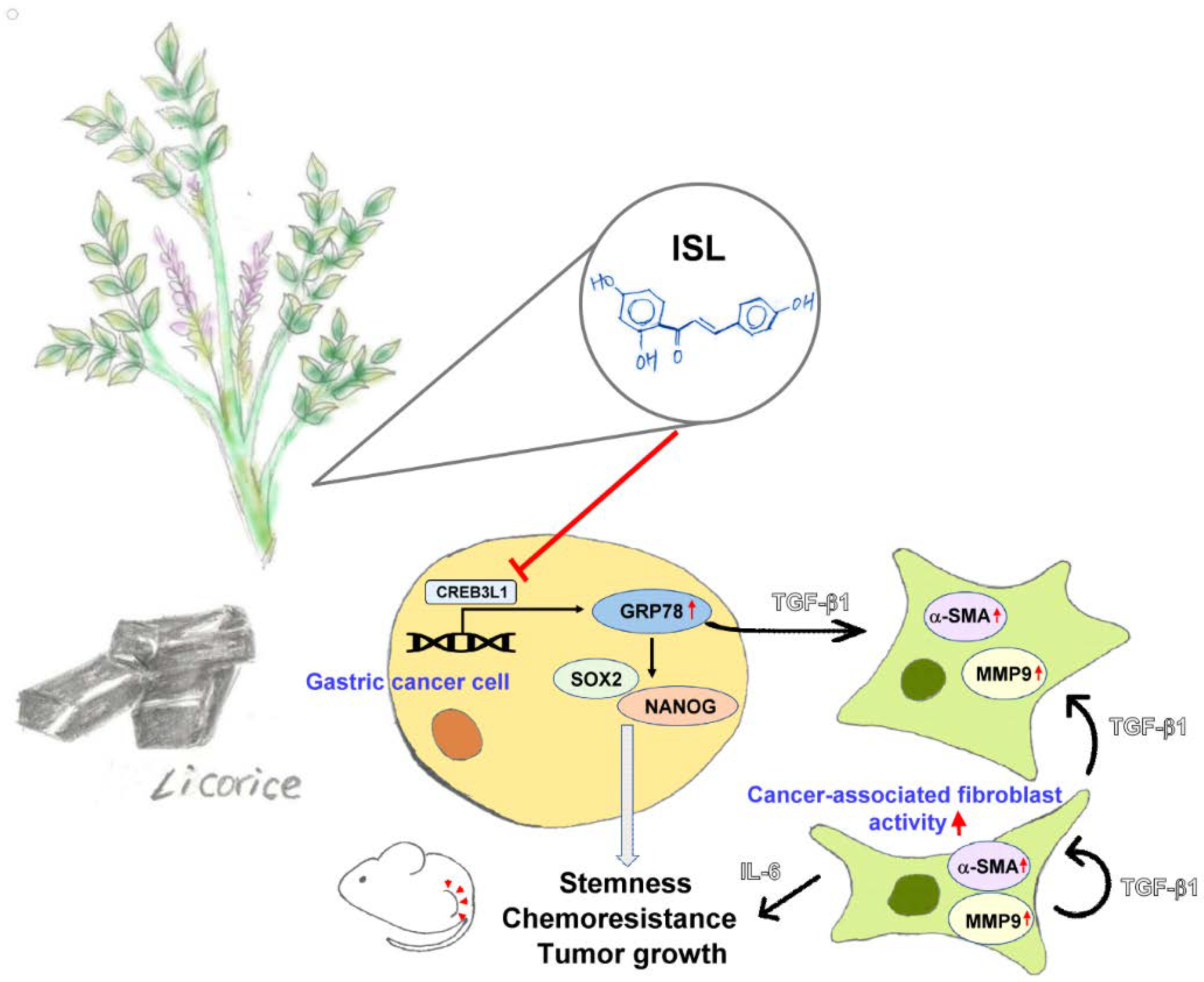 Biomedicines 10 01350 g010