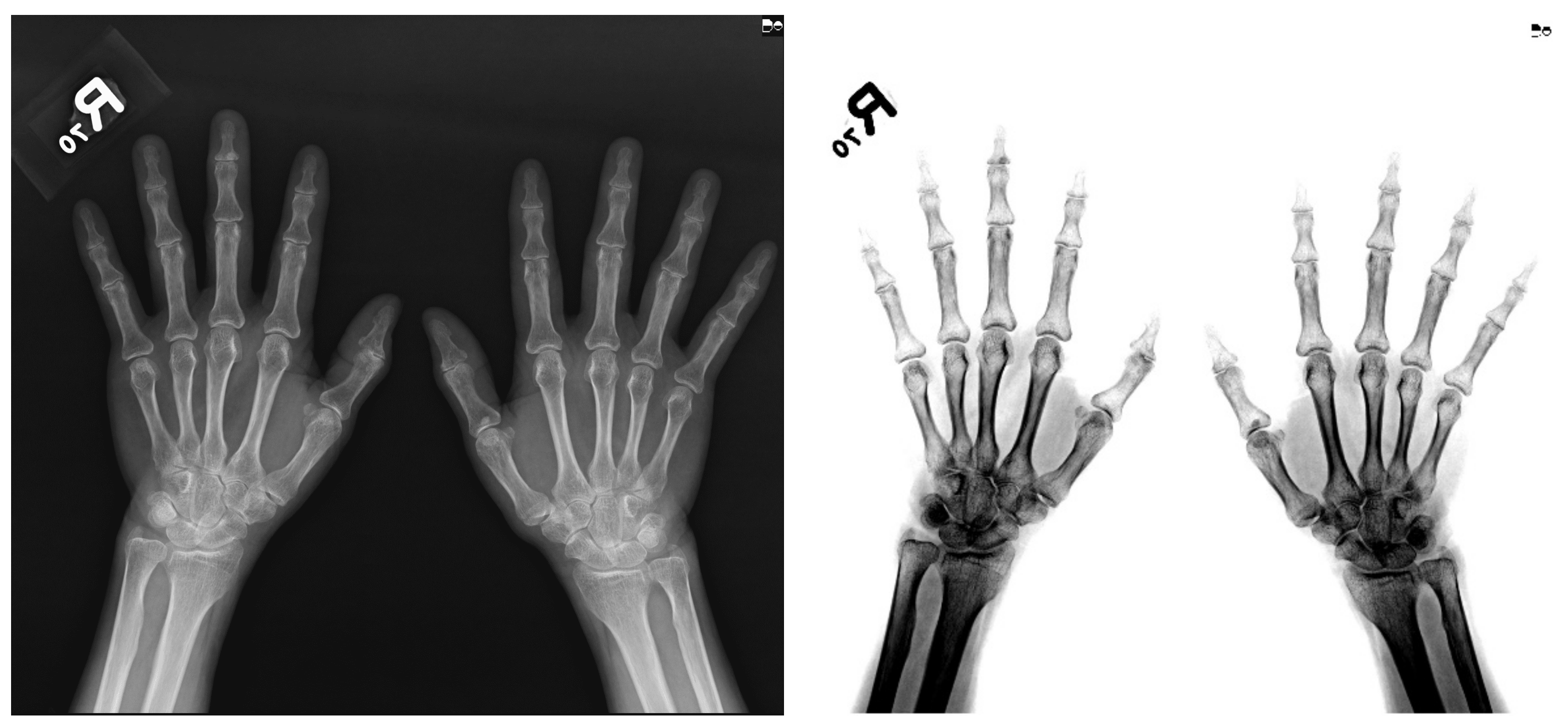 Biomedicines 10 01355 g002