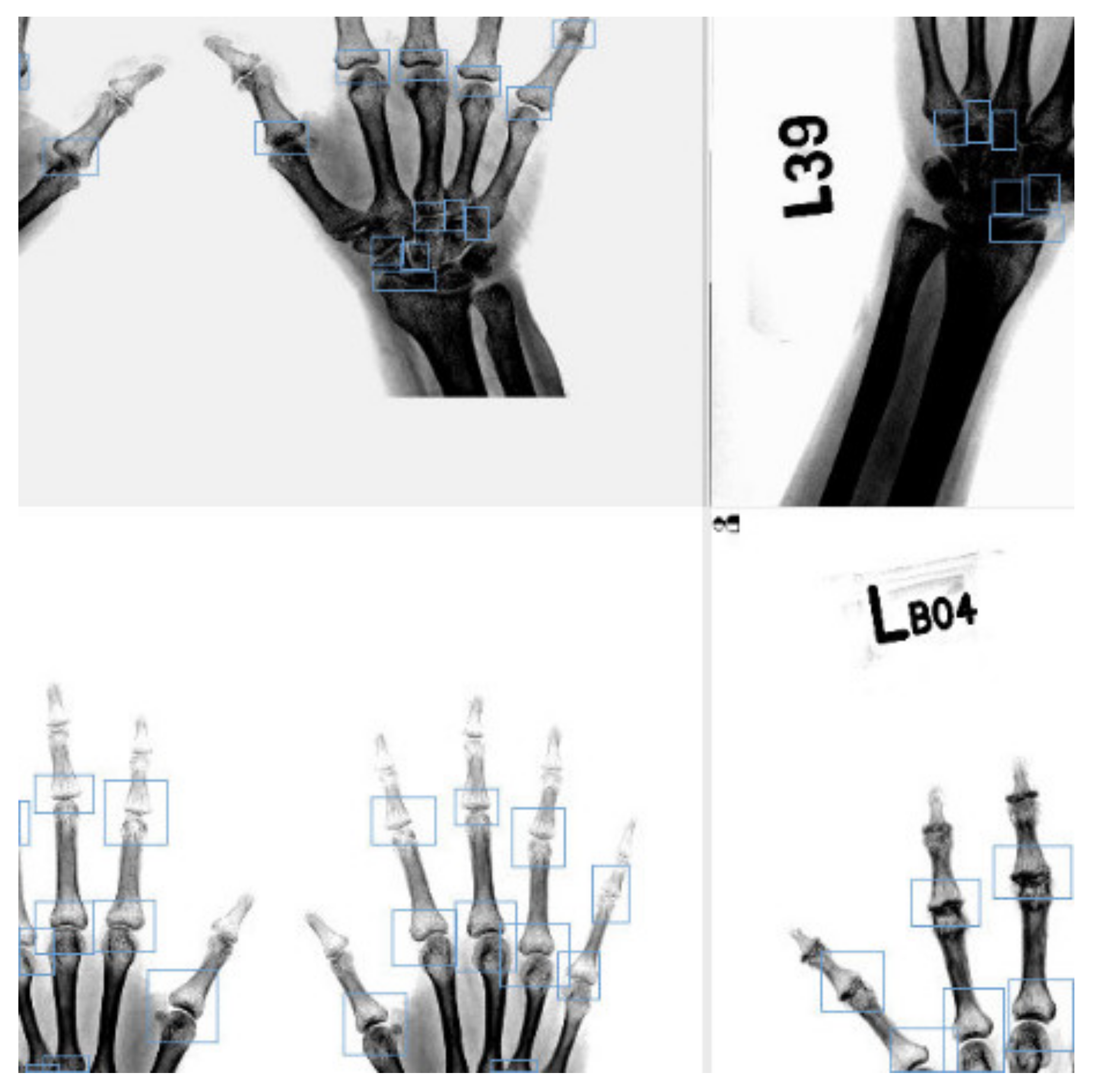 Biomedicines 10 01355 g003