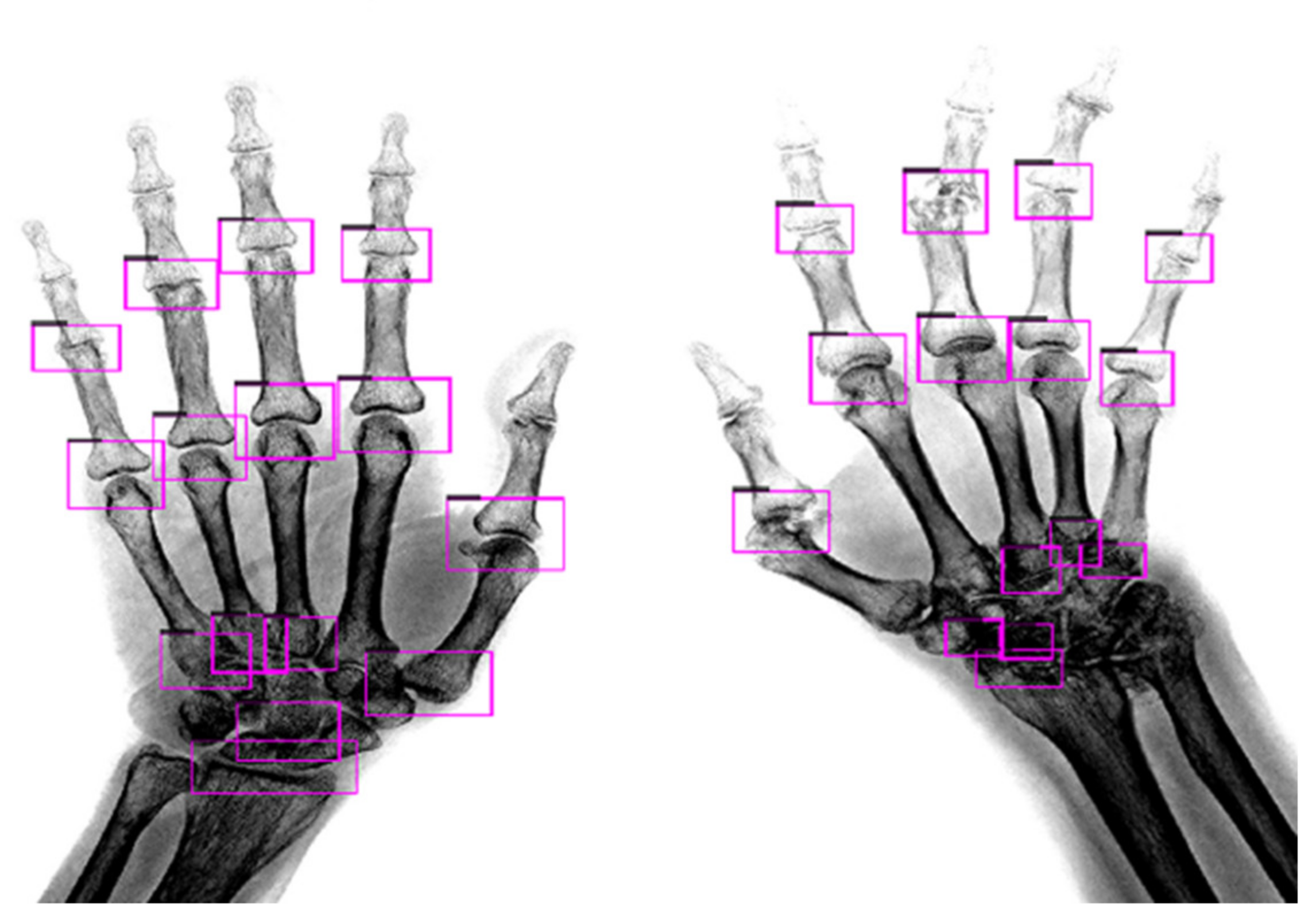 Biomedicines 10 01355 g006