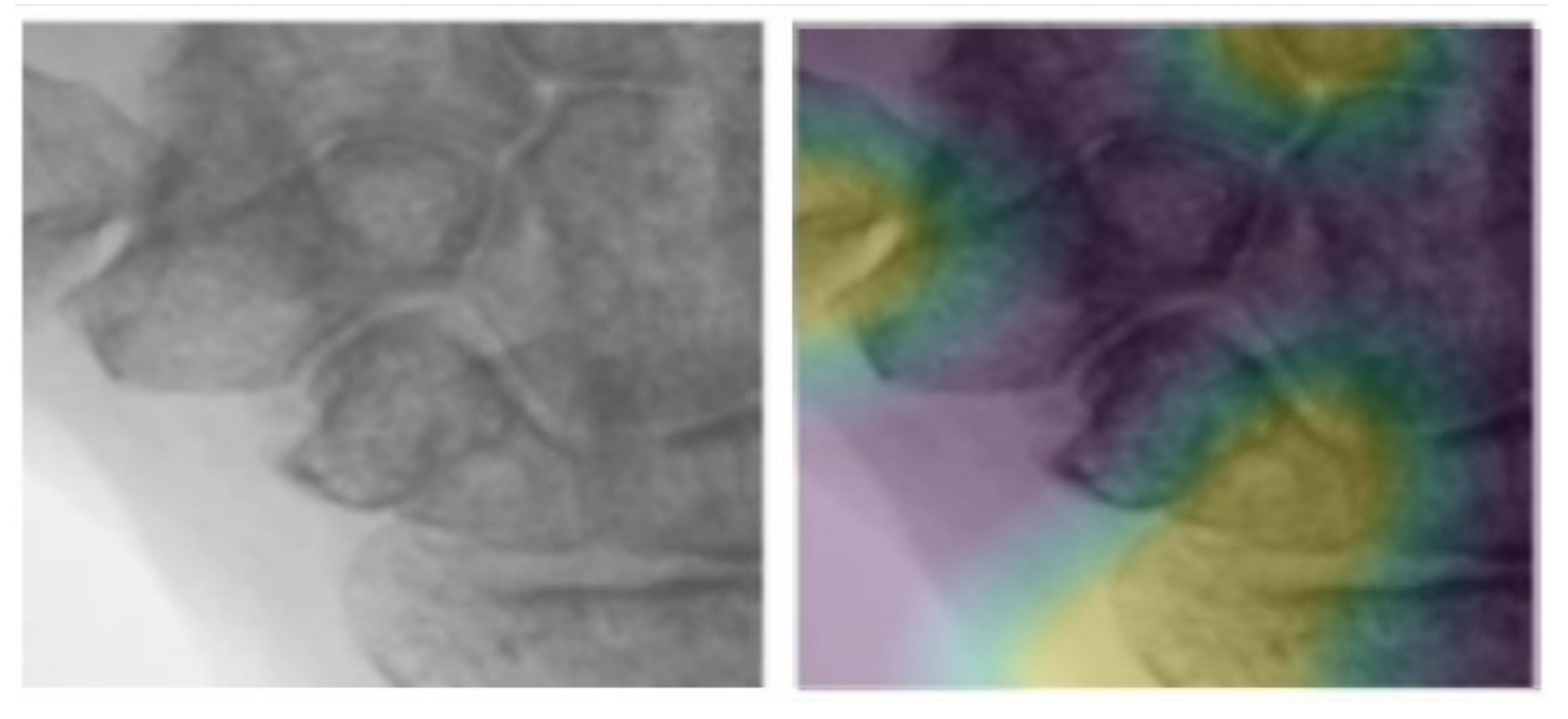 Biomedicines 10 01355 g007