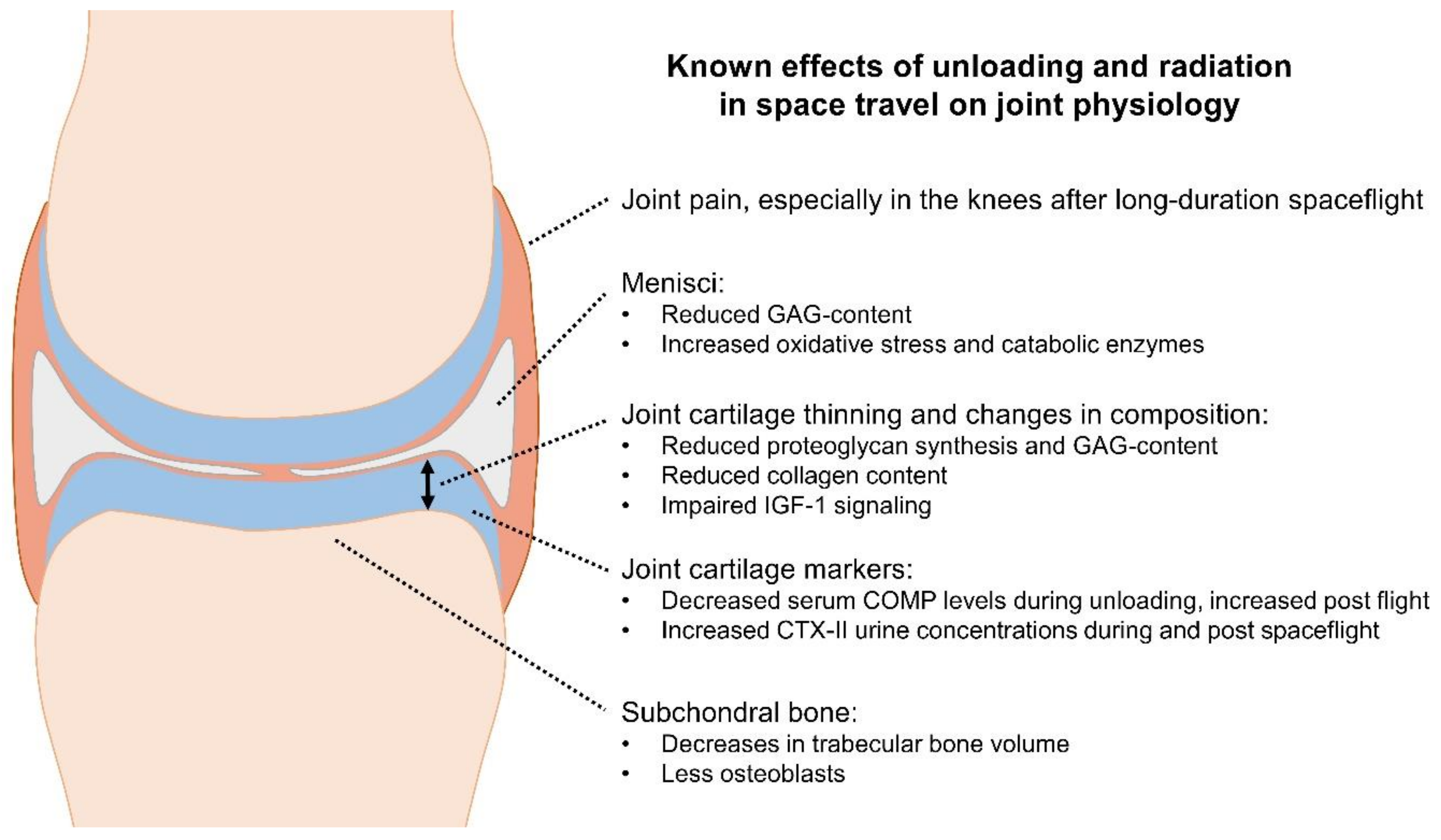 Biomedicines 10 01356 g002