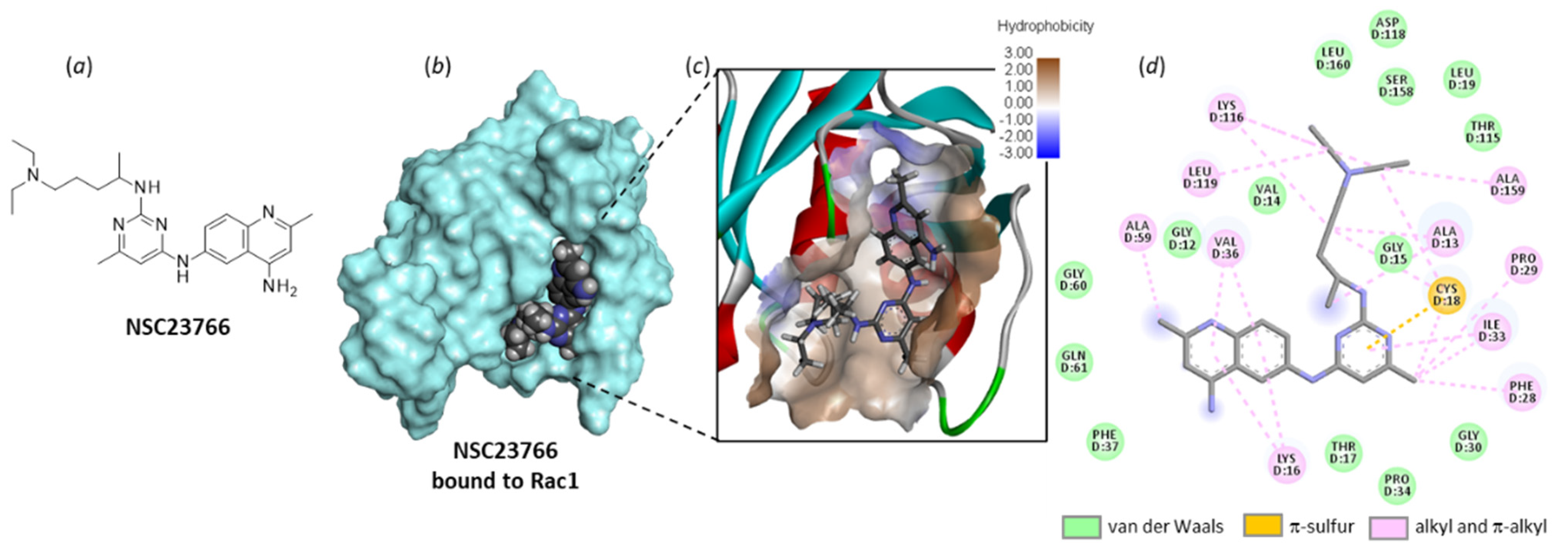Biomedicines 10 01357 g007