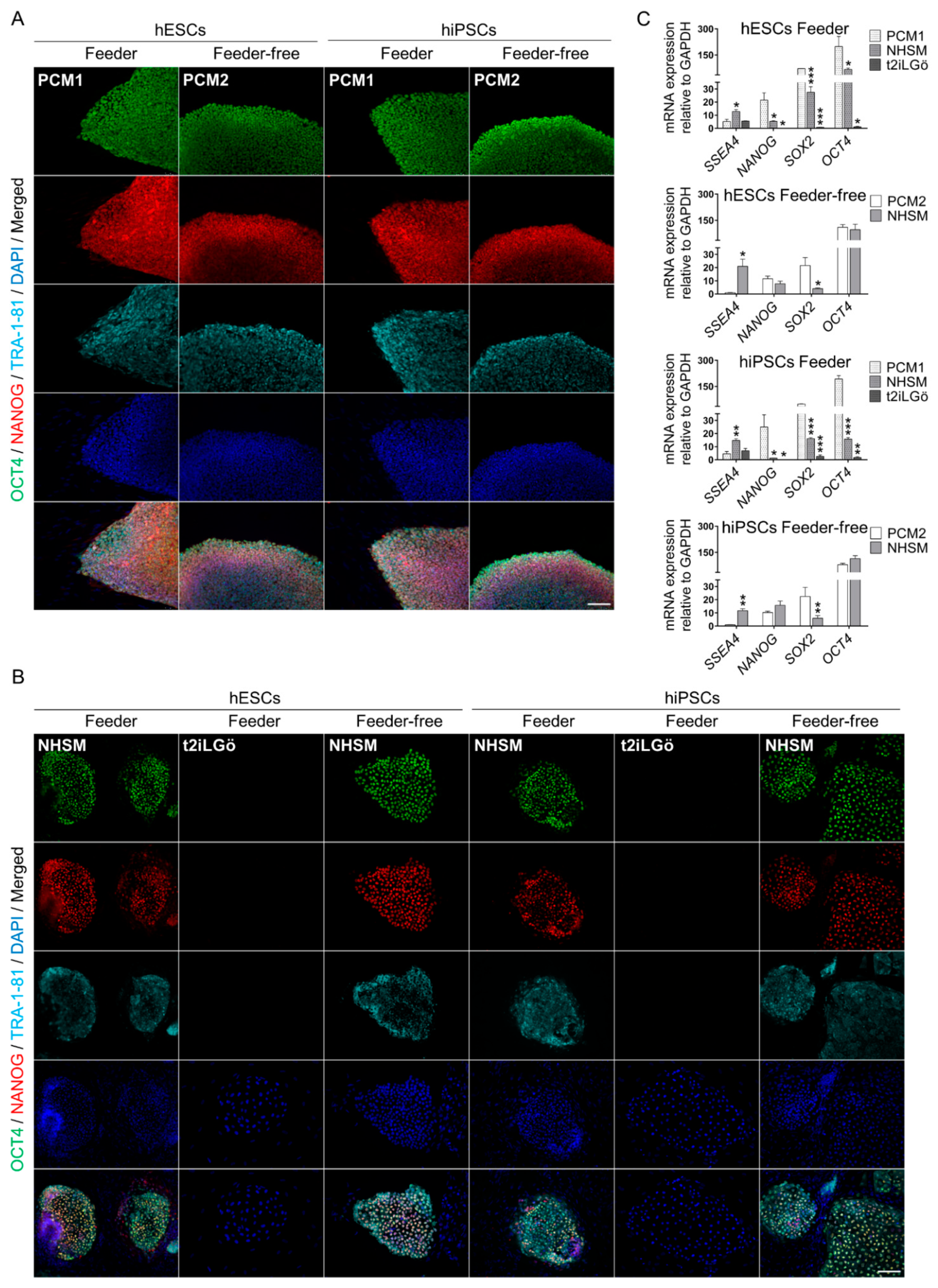 Biomedicines 10 01358 g003