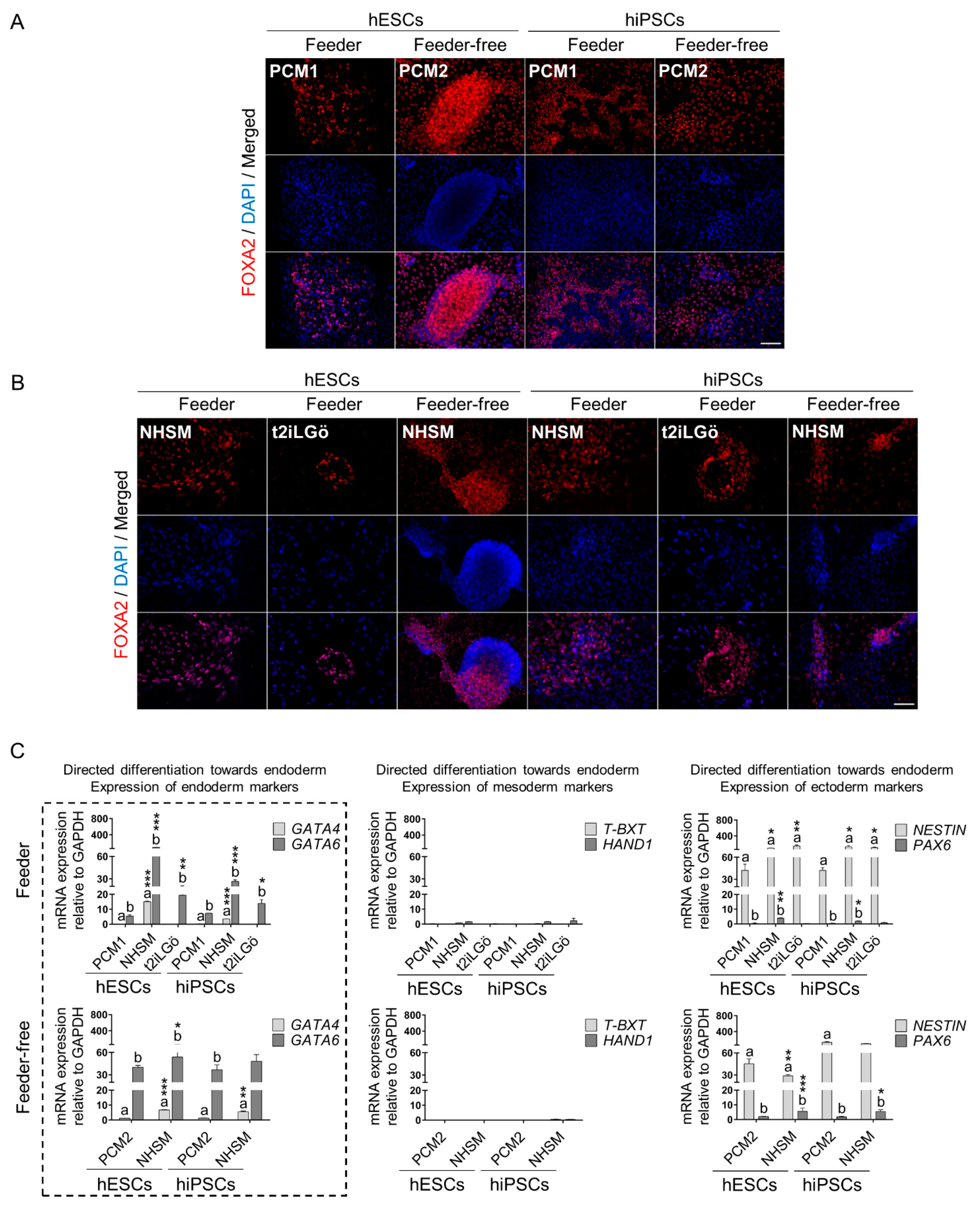Biomedicines 10 01358 g004