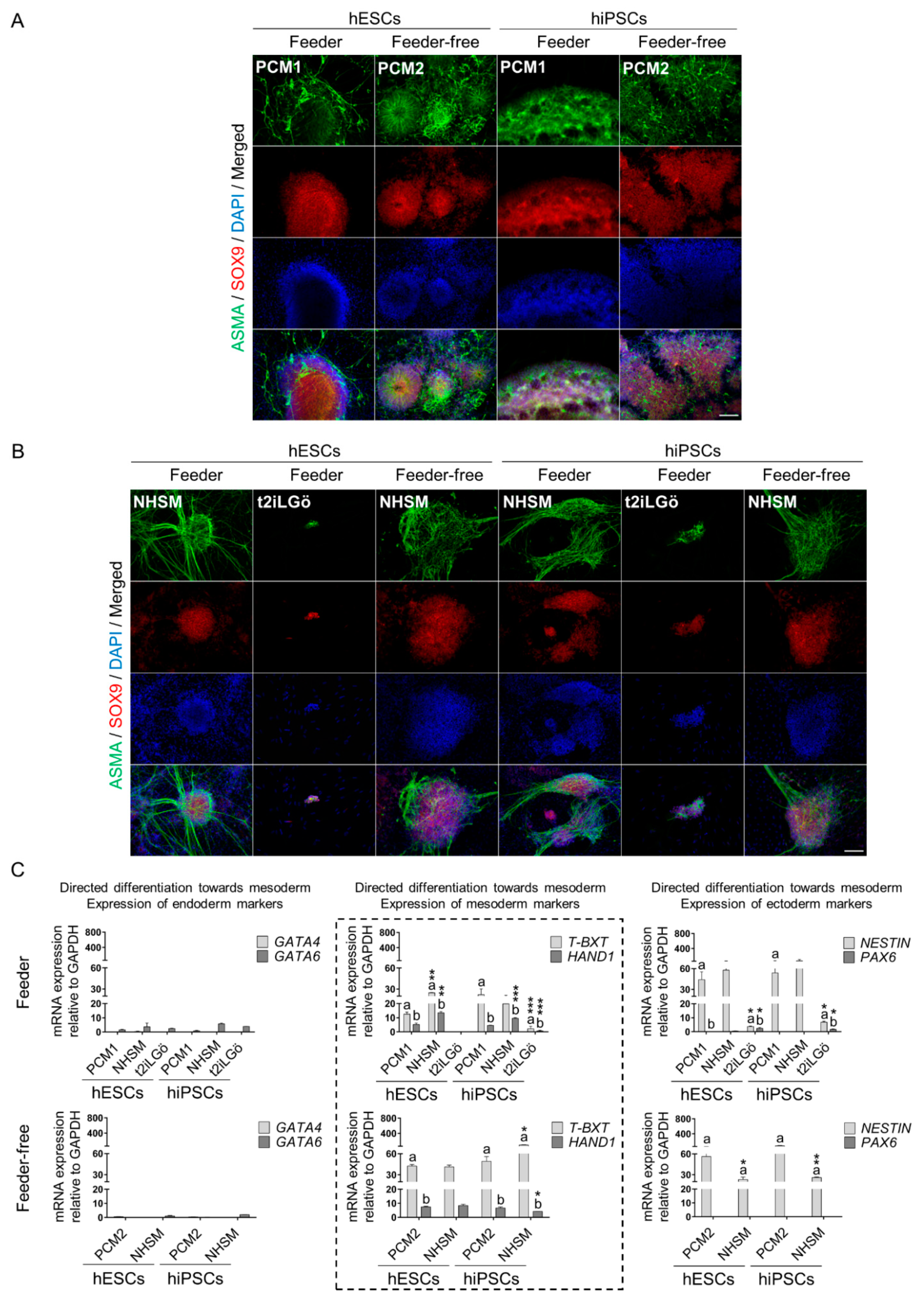 Biomedicines 10 01358 g005