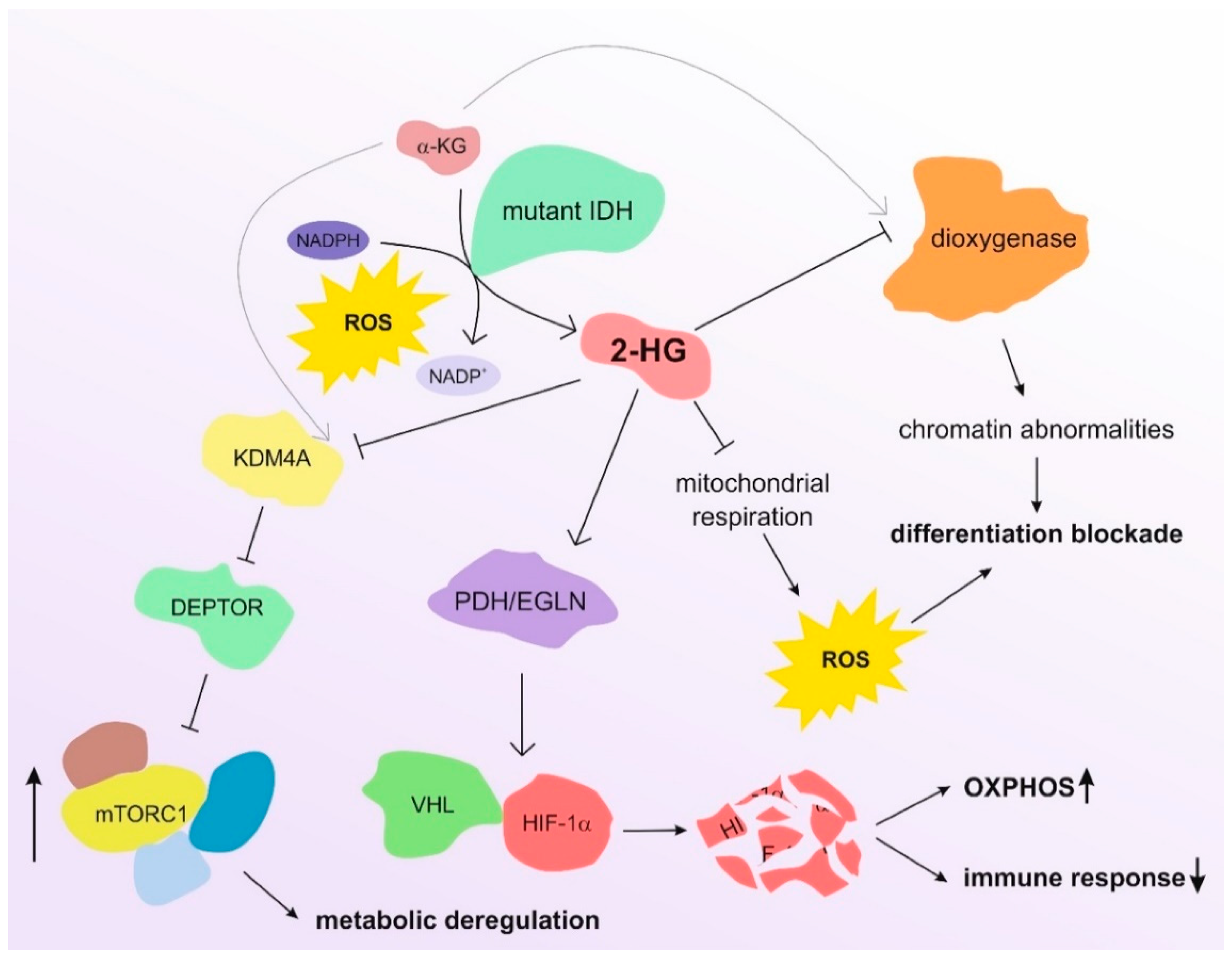 Biomedicines 10 01359 g002