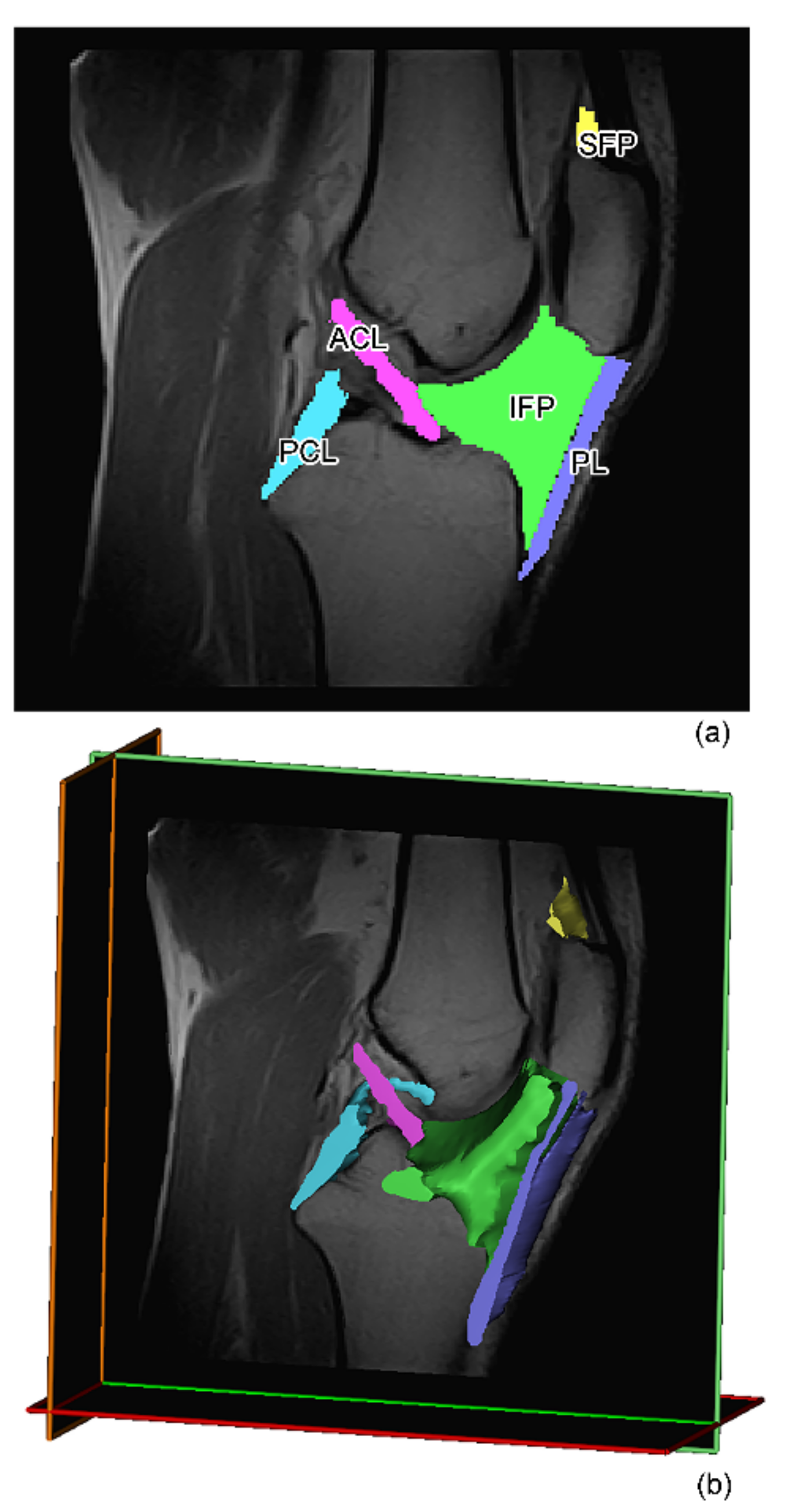 Biomedicines 10 01369 g001 Biomedicines 10 01369 g001