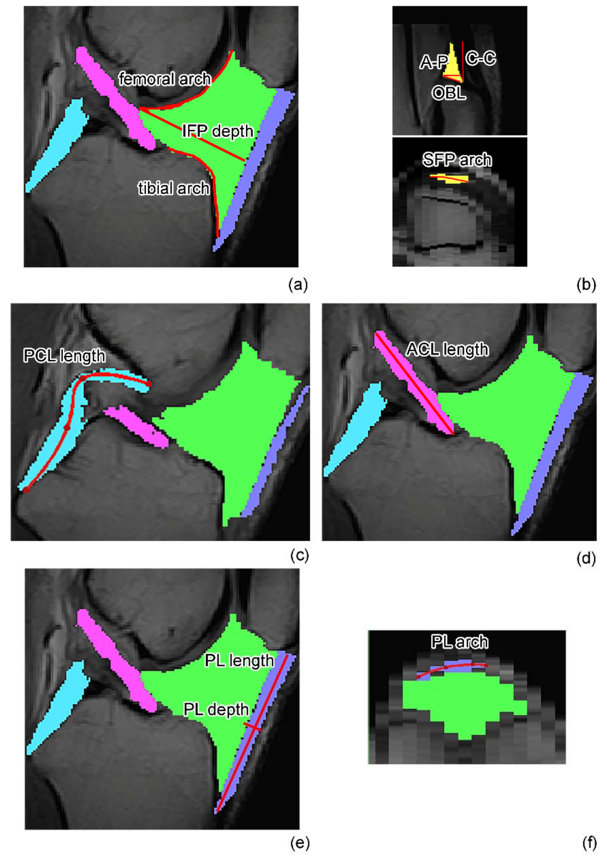 Biomedicines 10 01369 g002 Biomedicines 10 01369 g002
