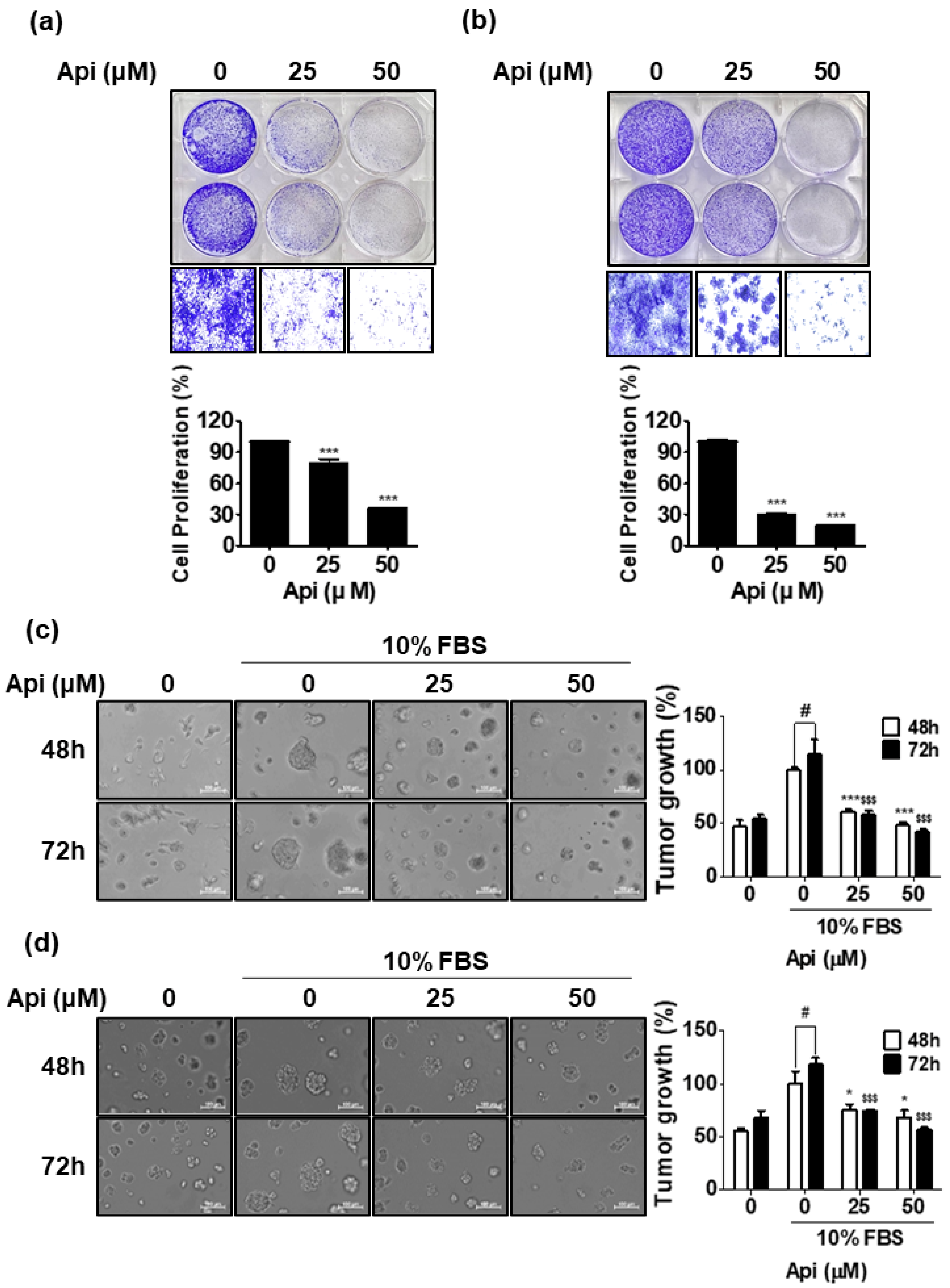 Biomedicines 10 01370 g002
