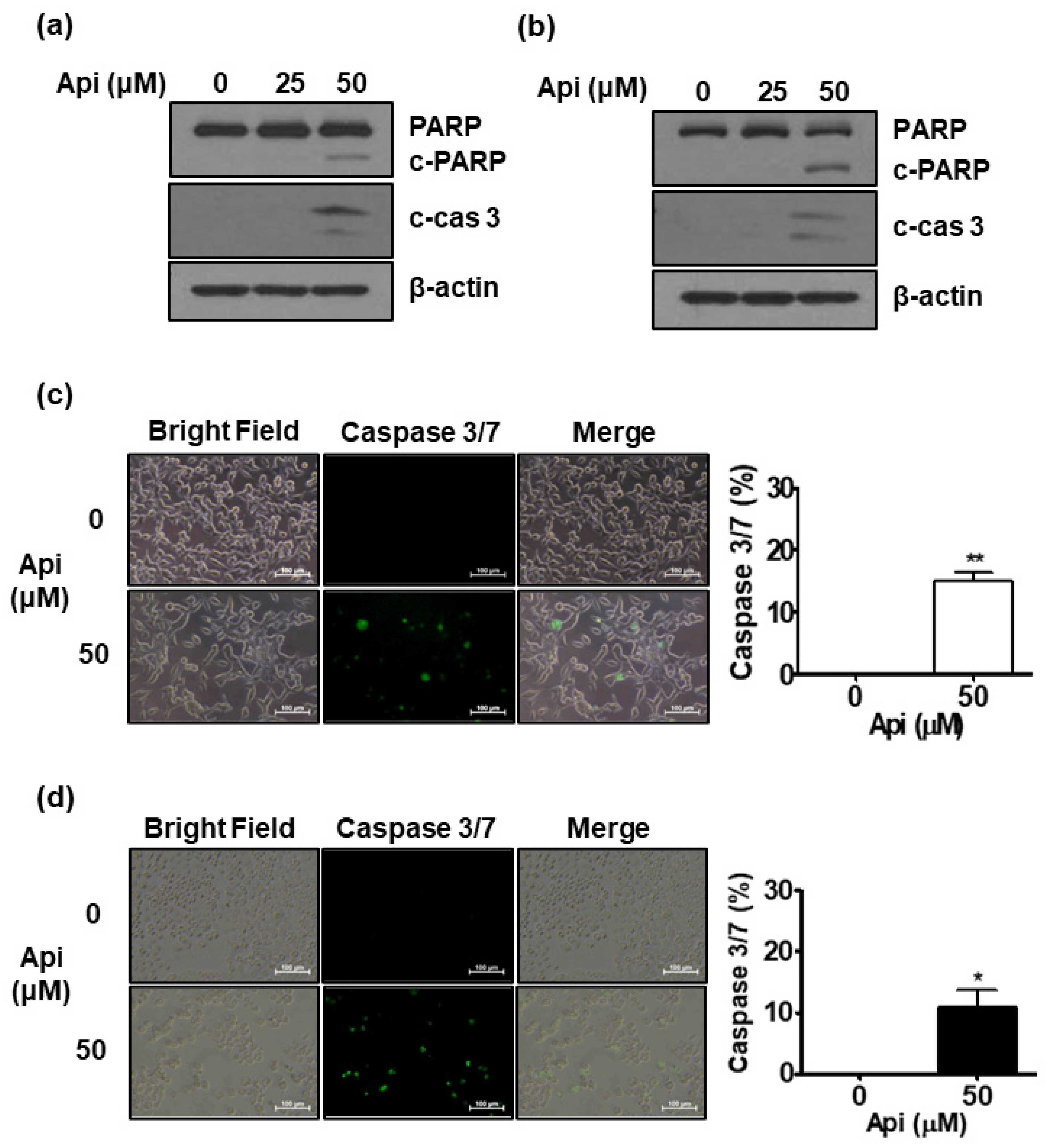 Biomedicines 10 01370 g003