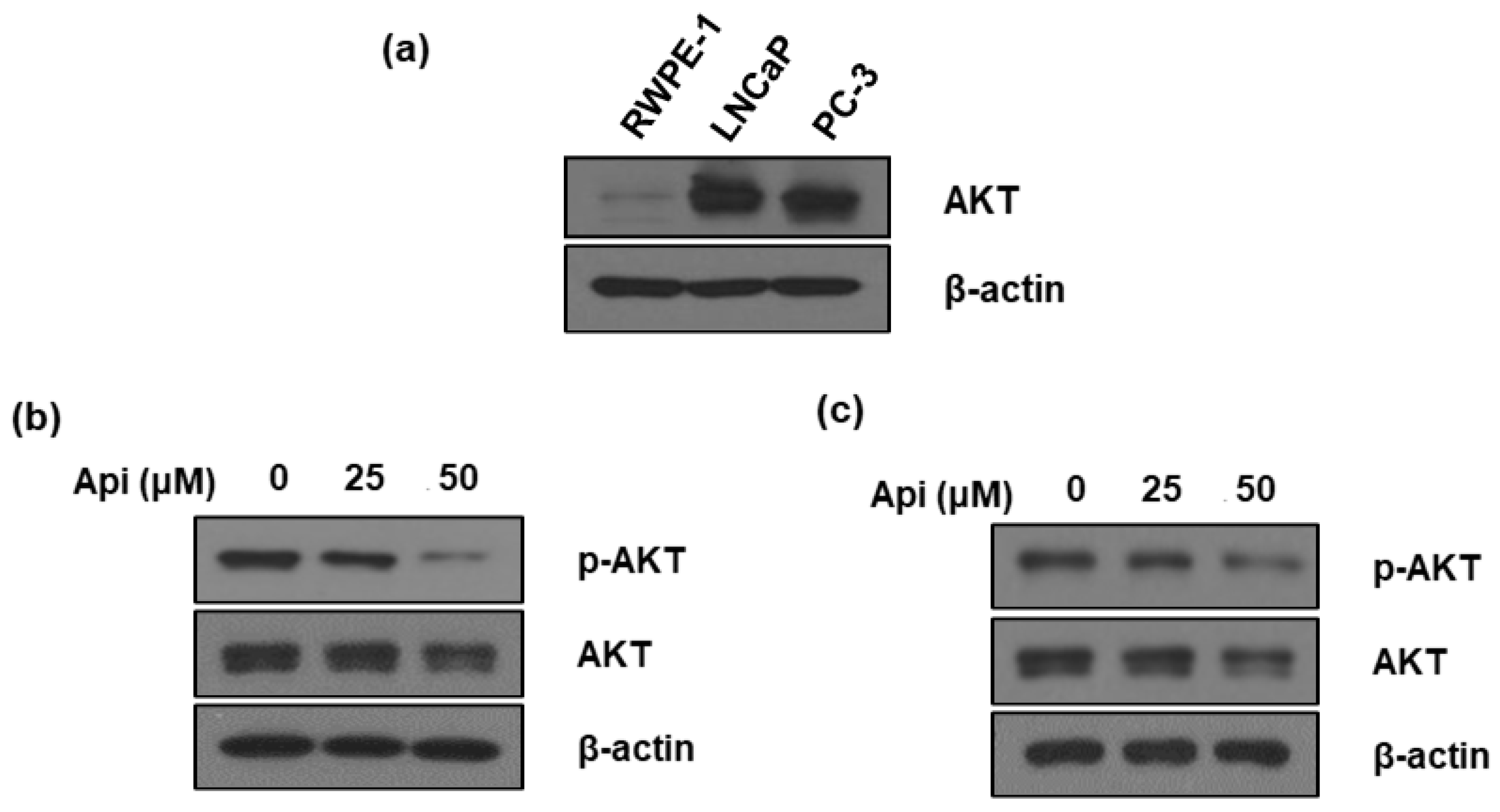 Biomedicines 10 01370 g005