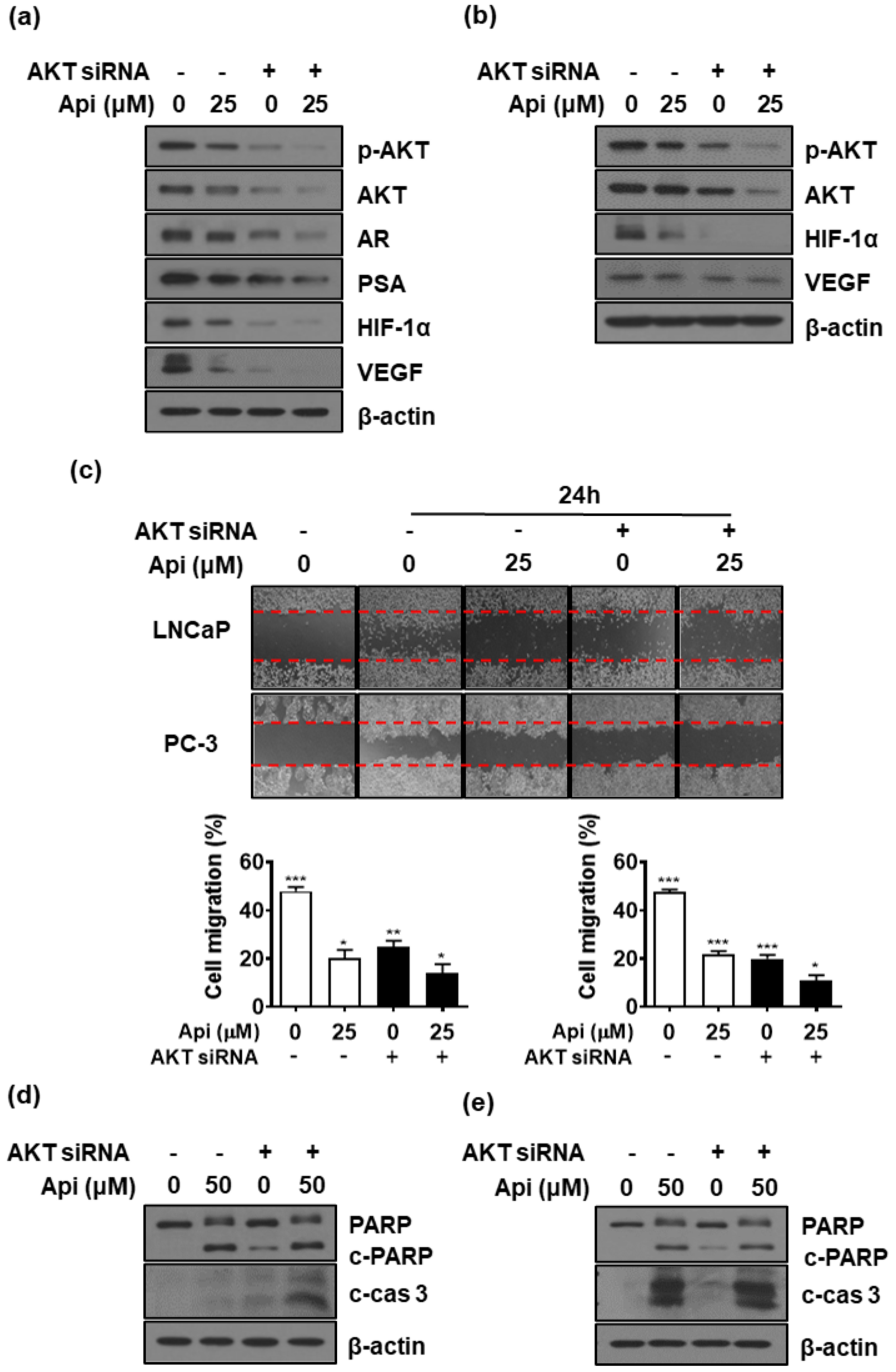 Biomedicines 10 01370 g006