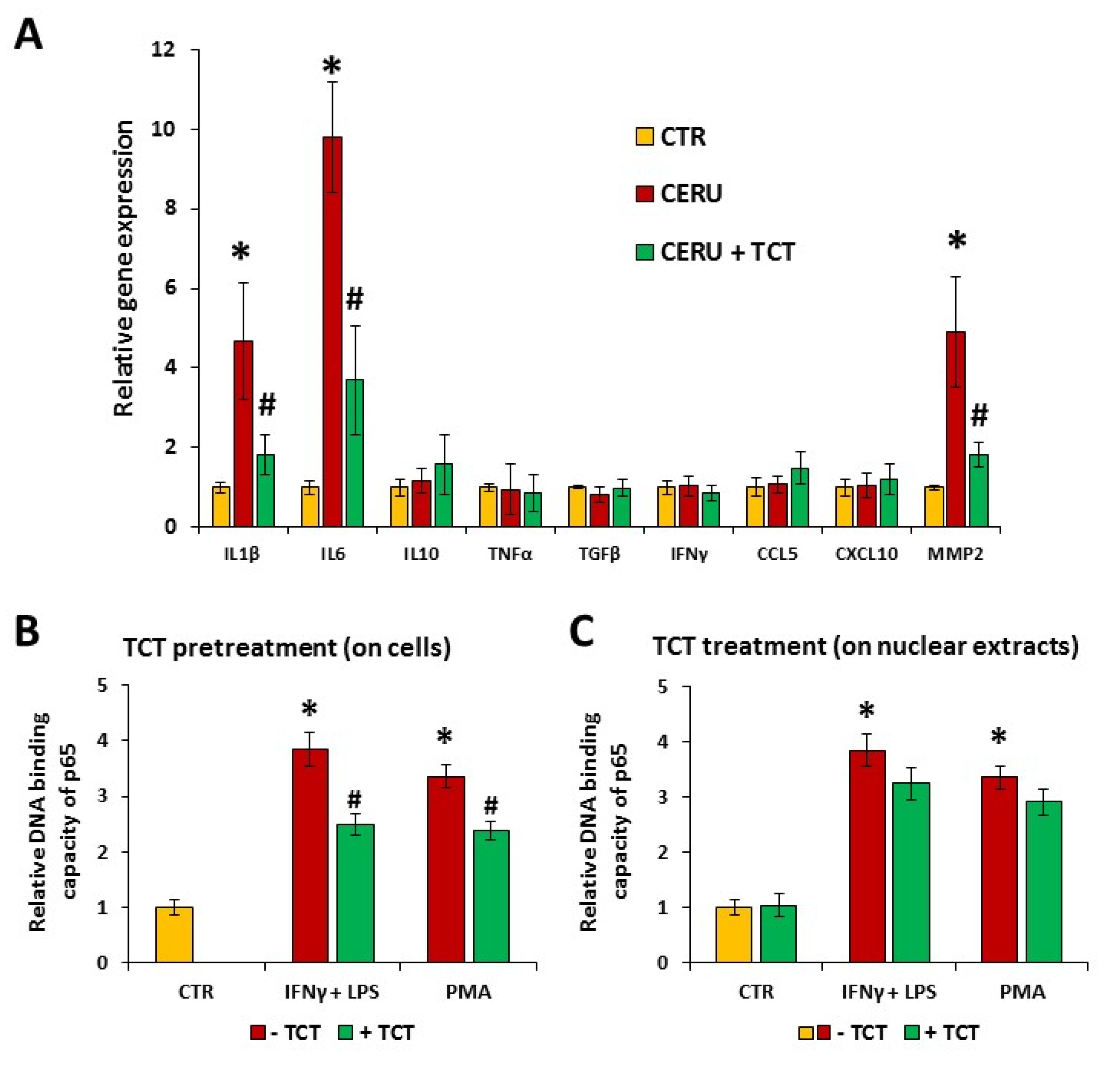 Biomedicines 10 01371 g002