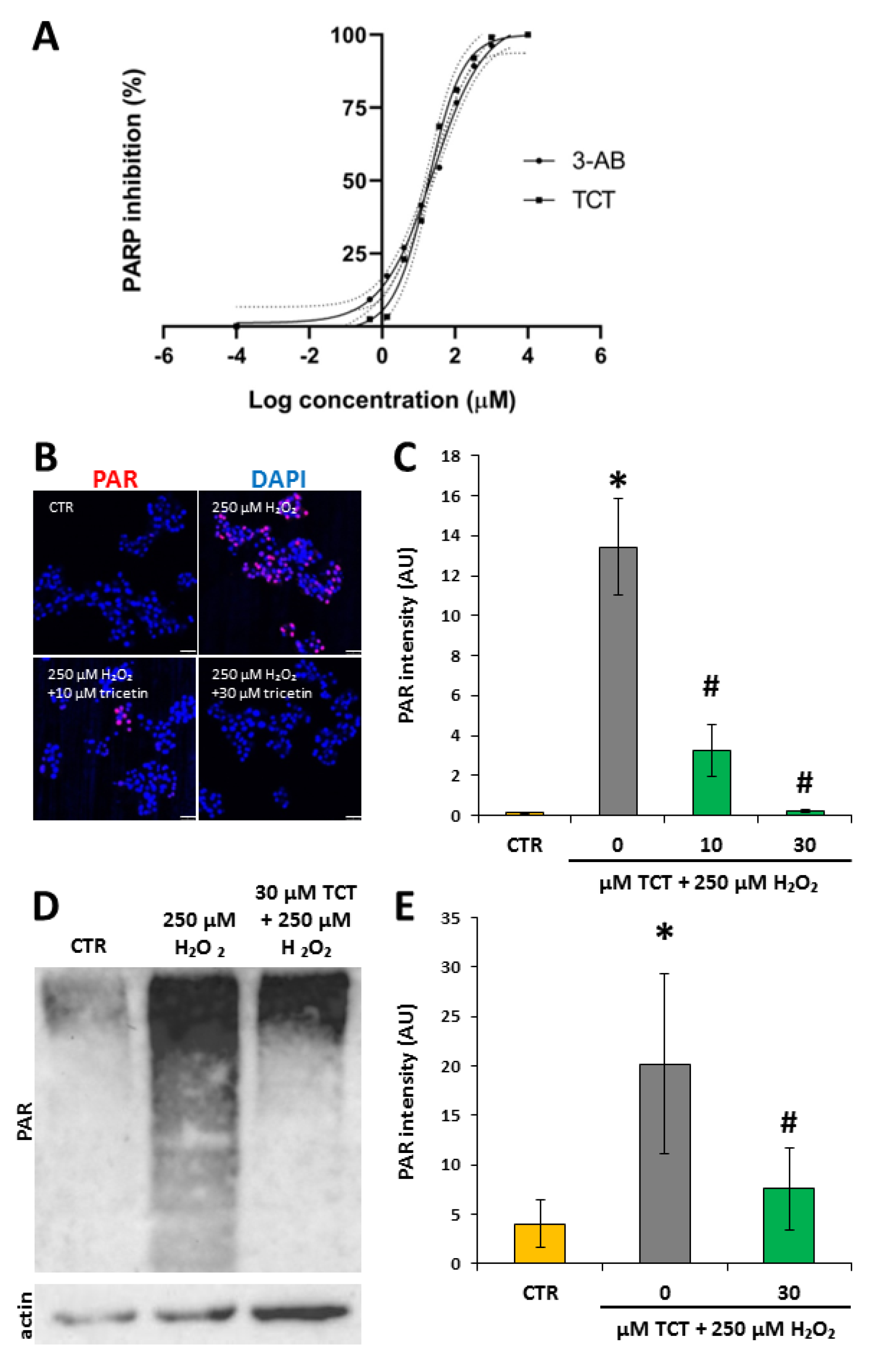 Biomedicines 10 01371 g003