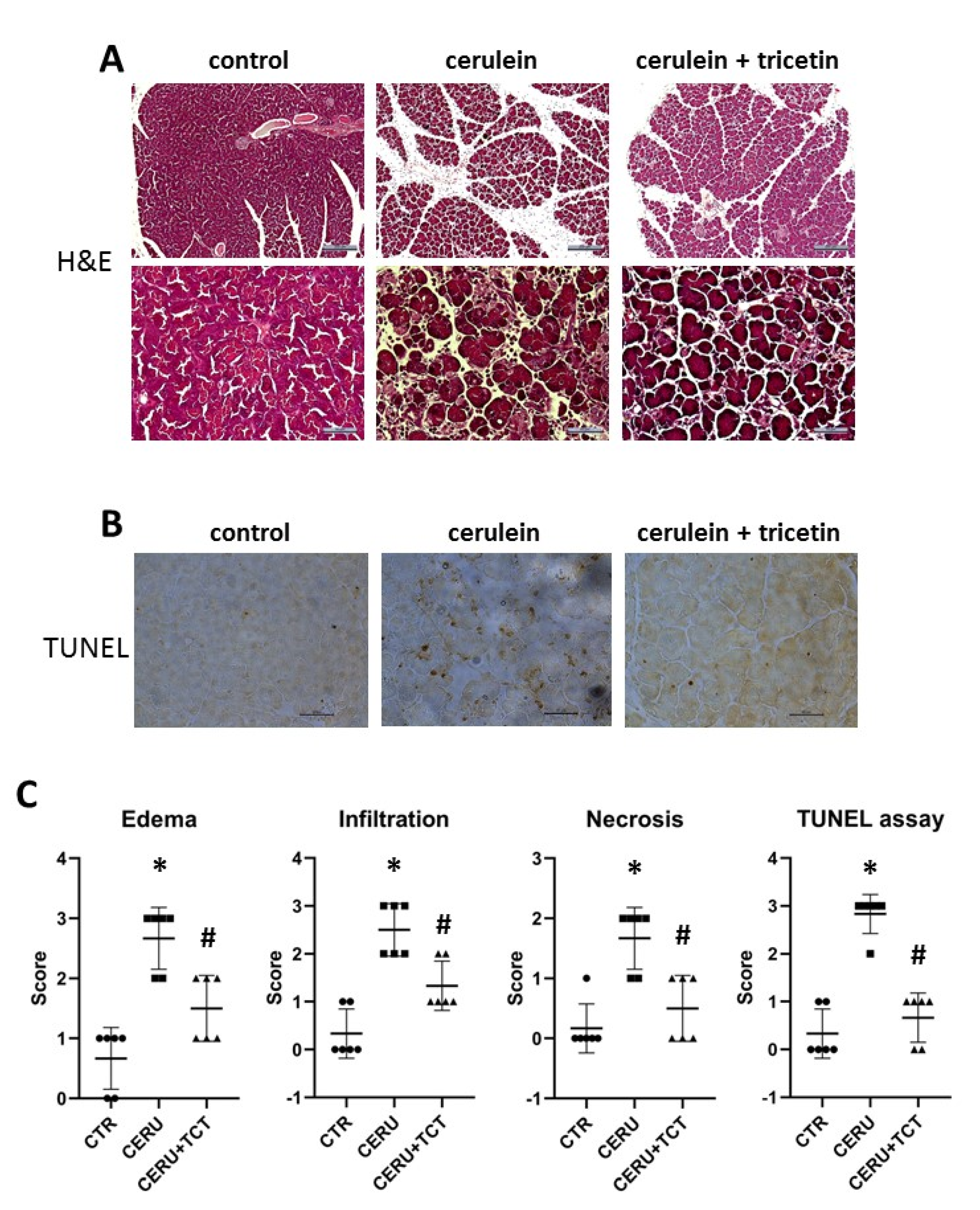 Biomedicines 10 01371 g005