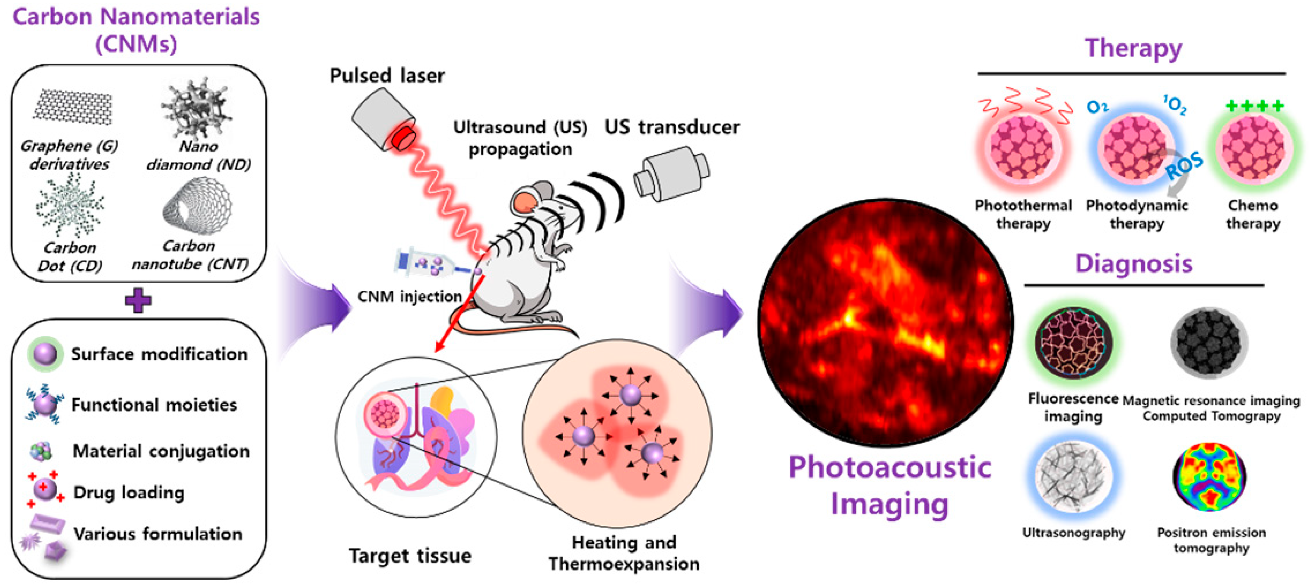 Biomedicines 10 01374 g001 550