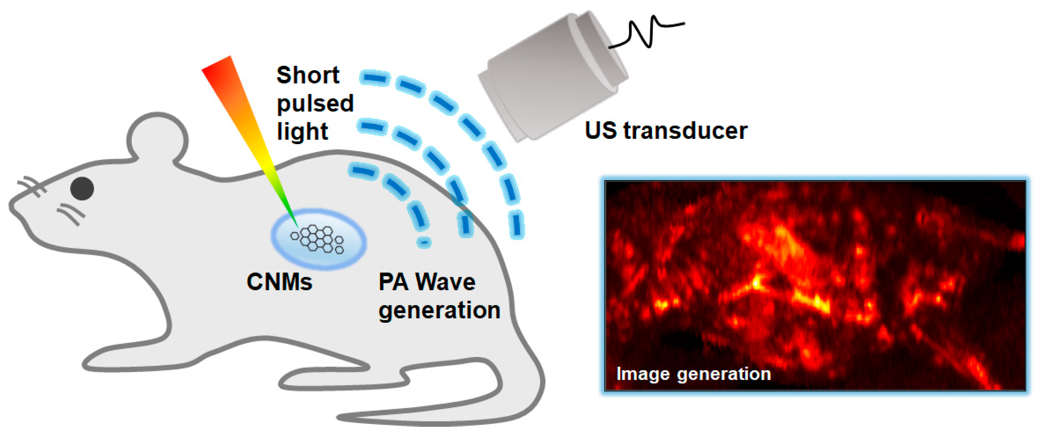 Biomedicines 10 01374 g002 550
