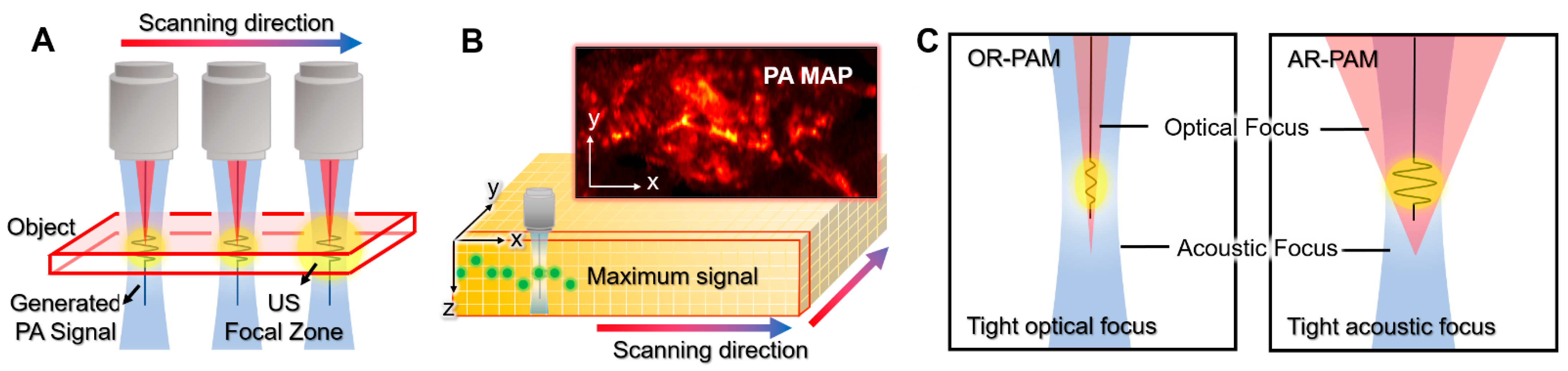 Biomedicines 10 01374 g003 550