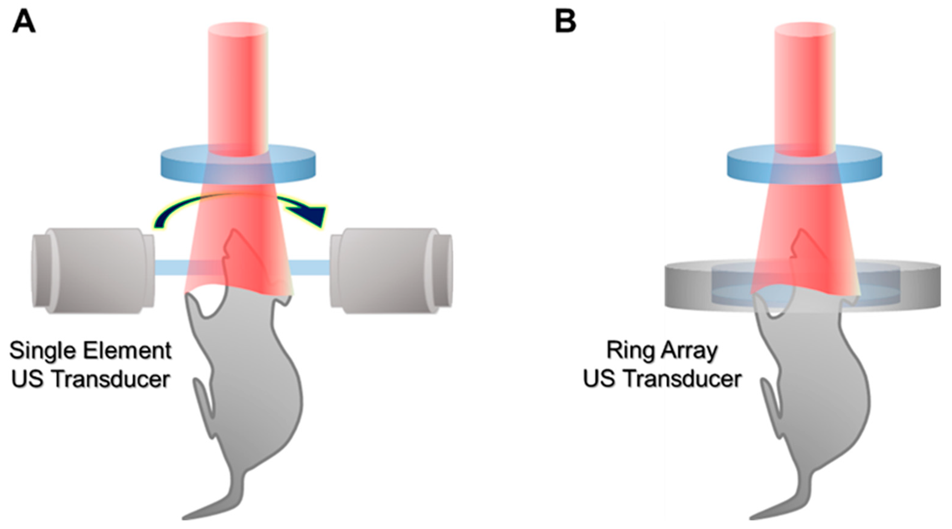 Biomedicines 10 01374 g004 550