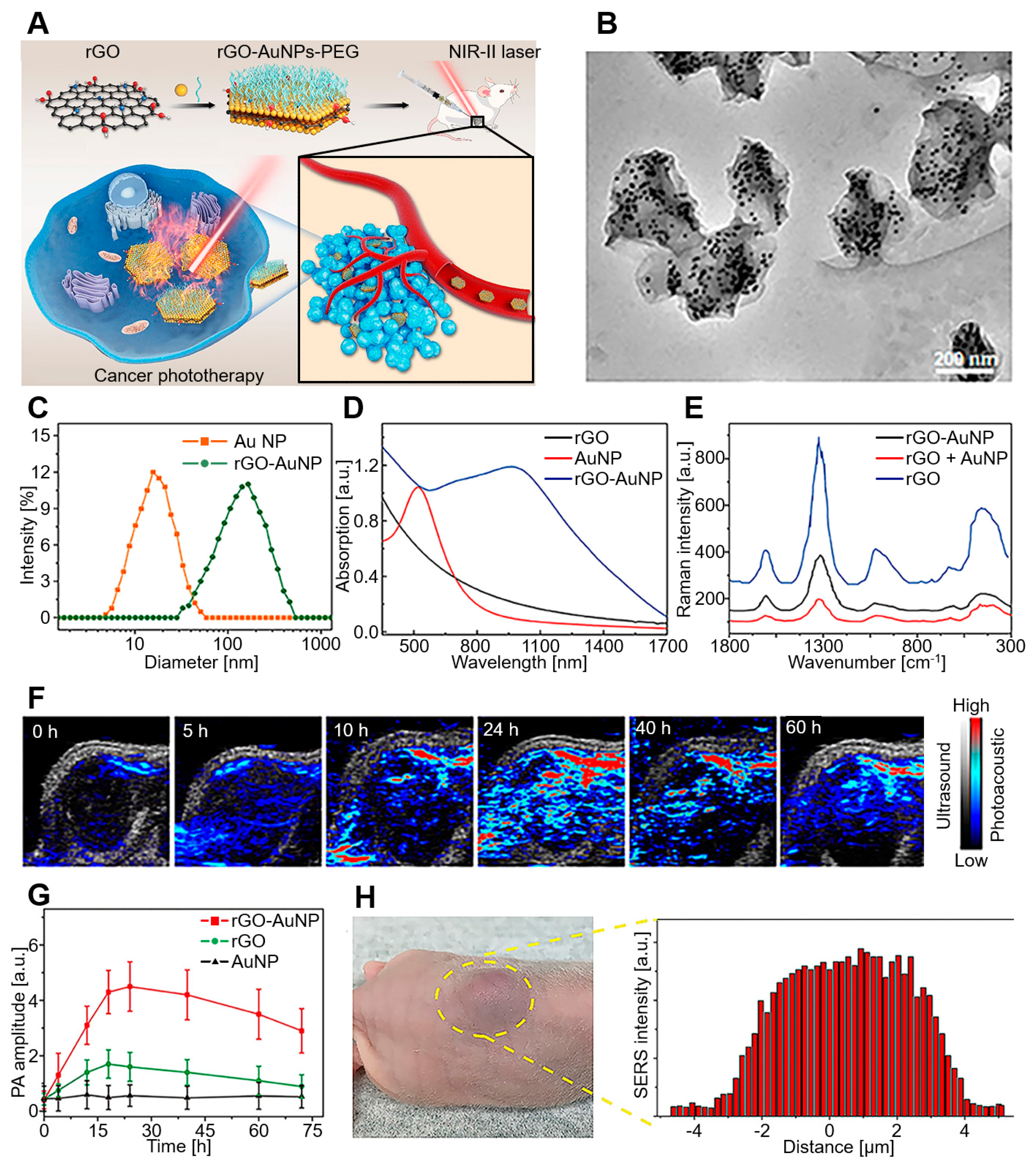 Biomedicines 10 01374 g006 550